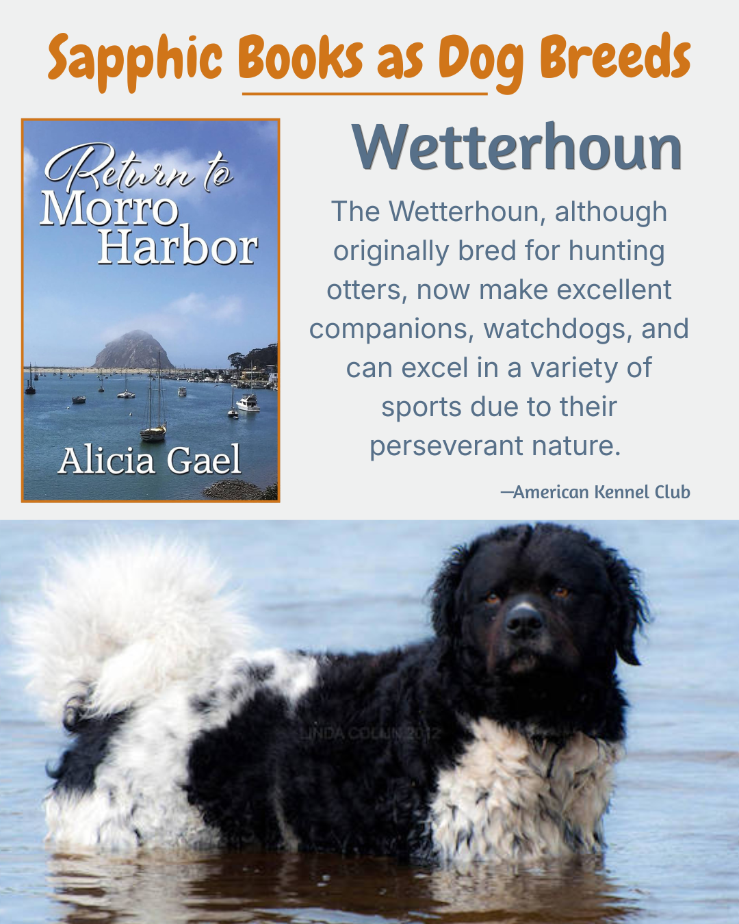 Books as Dog Breeds-18.png