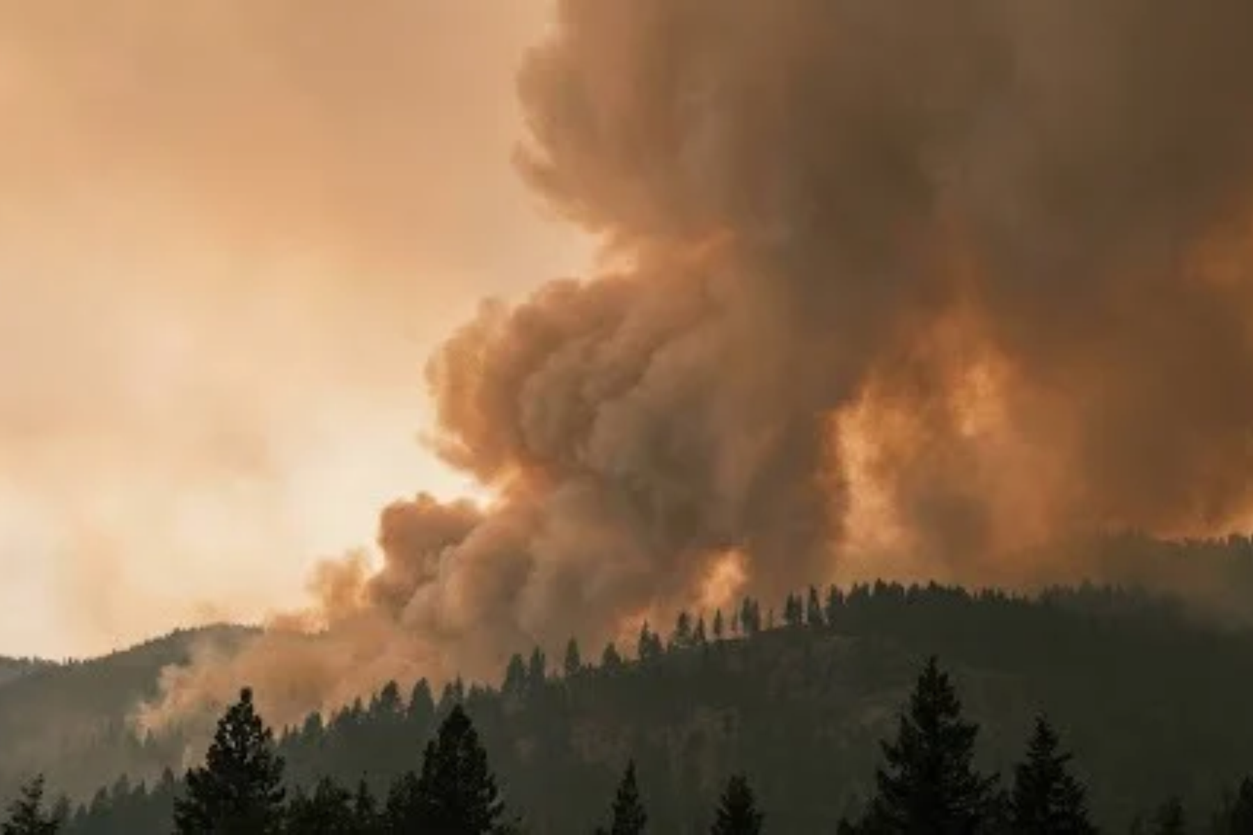 The Gift of a Burning Mountain