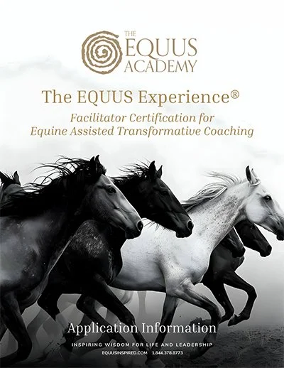 EQUUS Certification Training