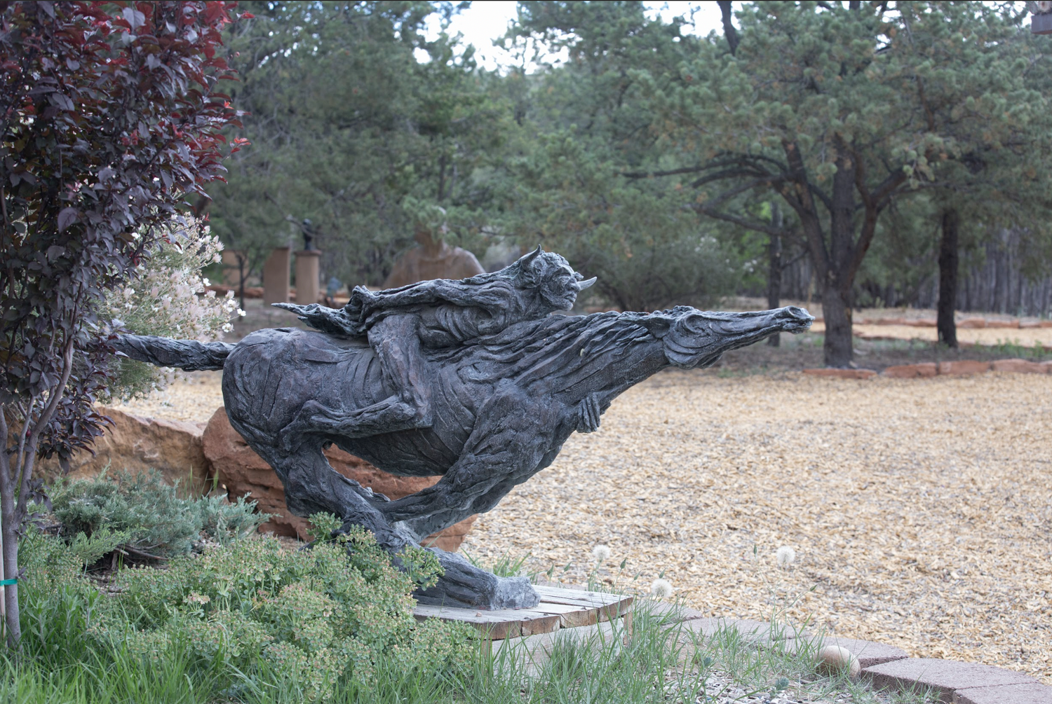 Spirit Bison Ranch Buffalo Spirit Ranch