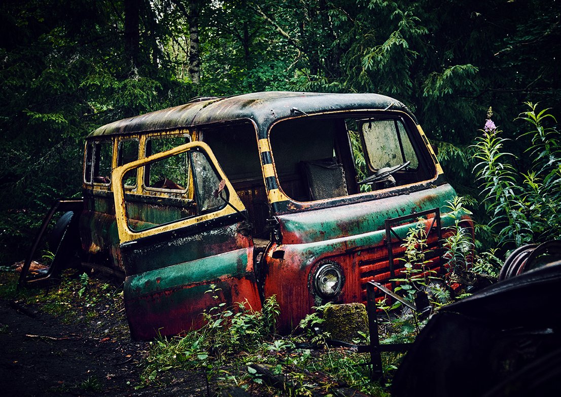 NatureStrickesBack 07.jpg