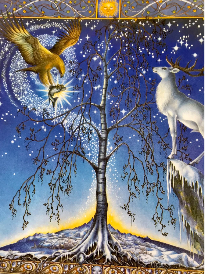 The Birch Tree