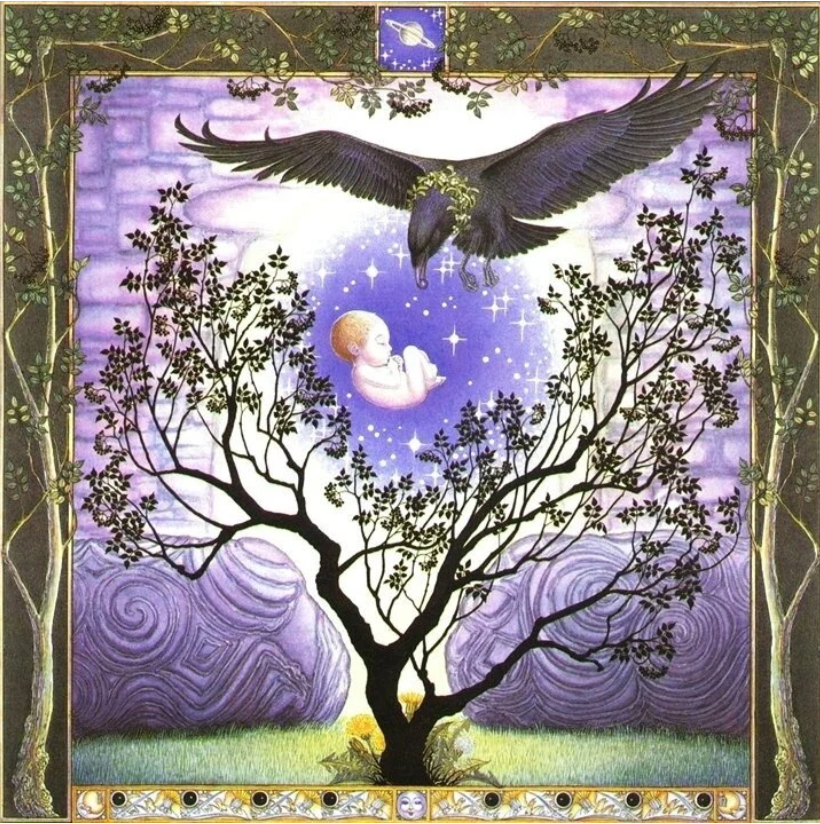 The Elder Tree, from “The Celtic Lunar Zodiac” by Helena Paterson, Illustrated by Margaret Walty.
