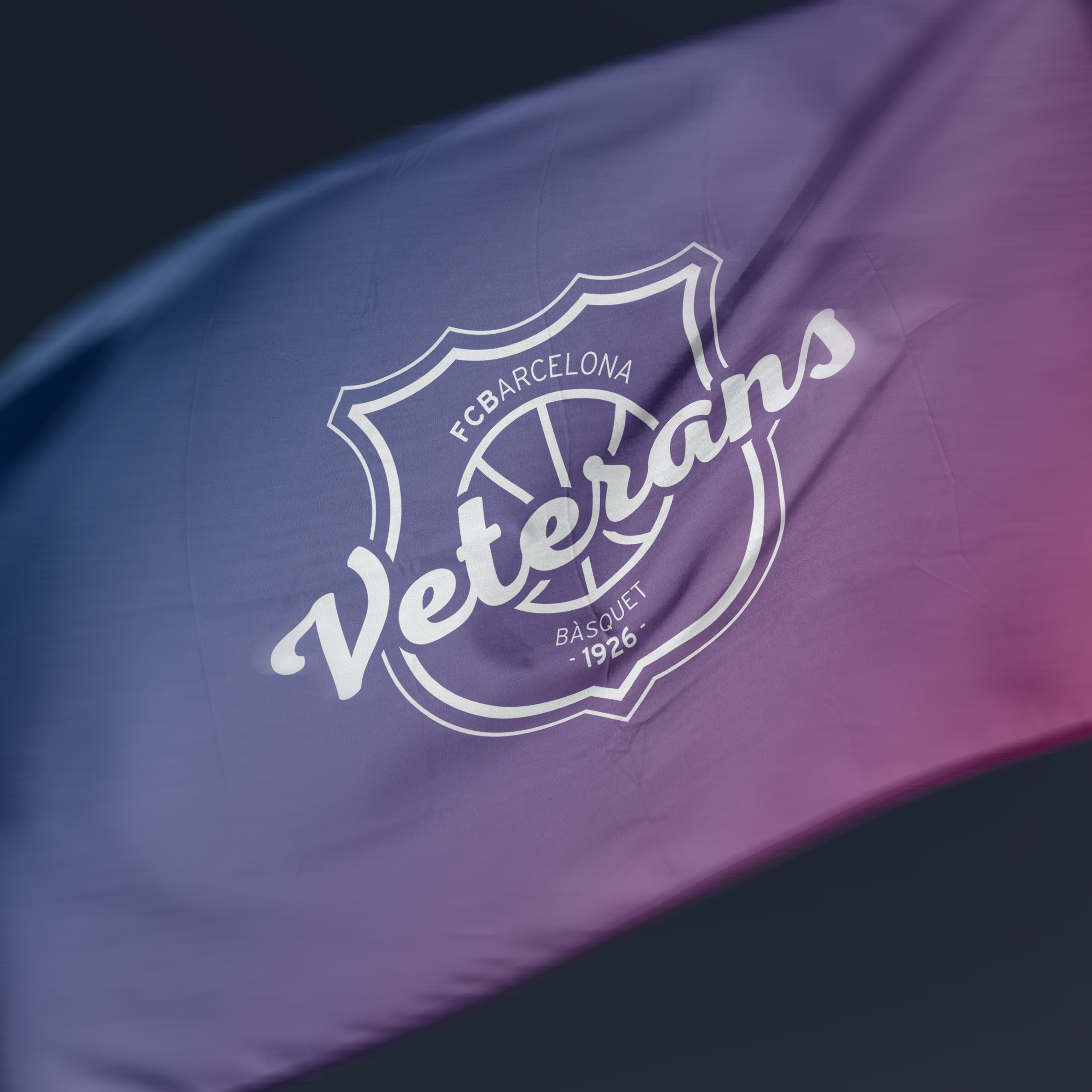 veterans bandera.png