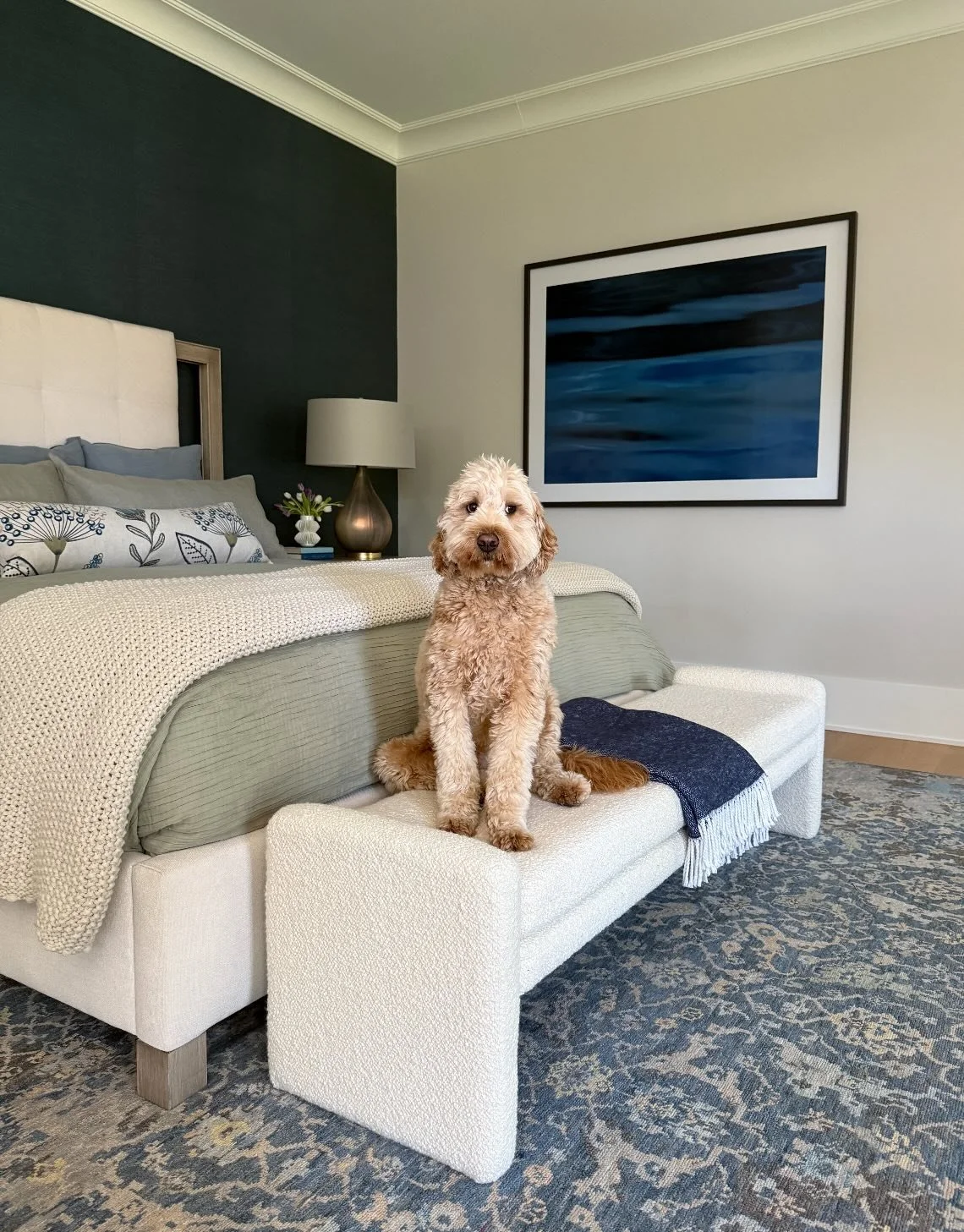 If only every photoshoot came with a handsome and cooperative model. 🐾