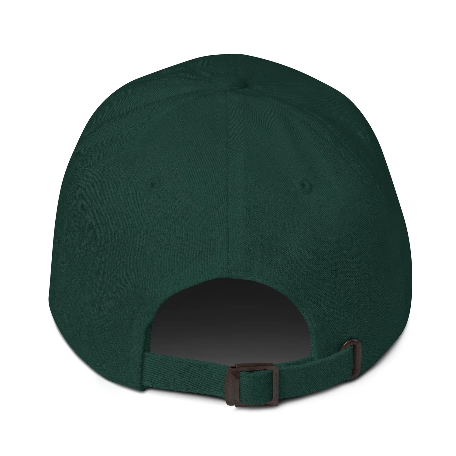 classic-dad-hat-spruce-back-6747dc319ba61.jpg