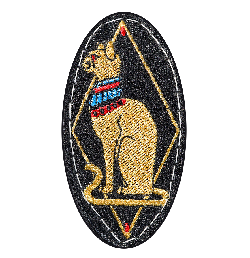 REVISED CAT MAGNET SQ.png