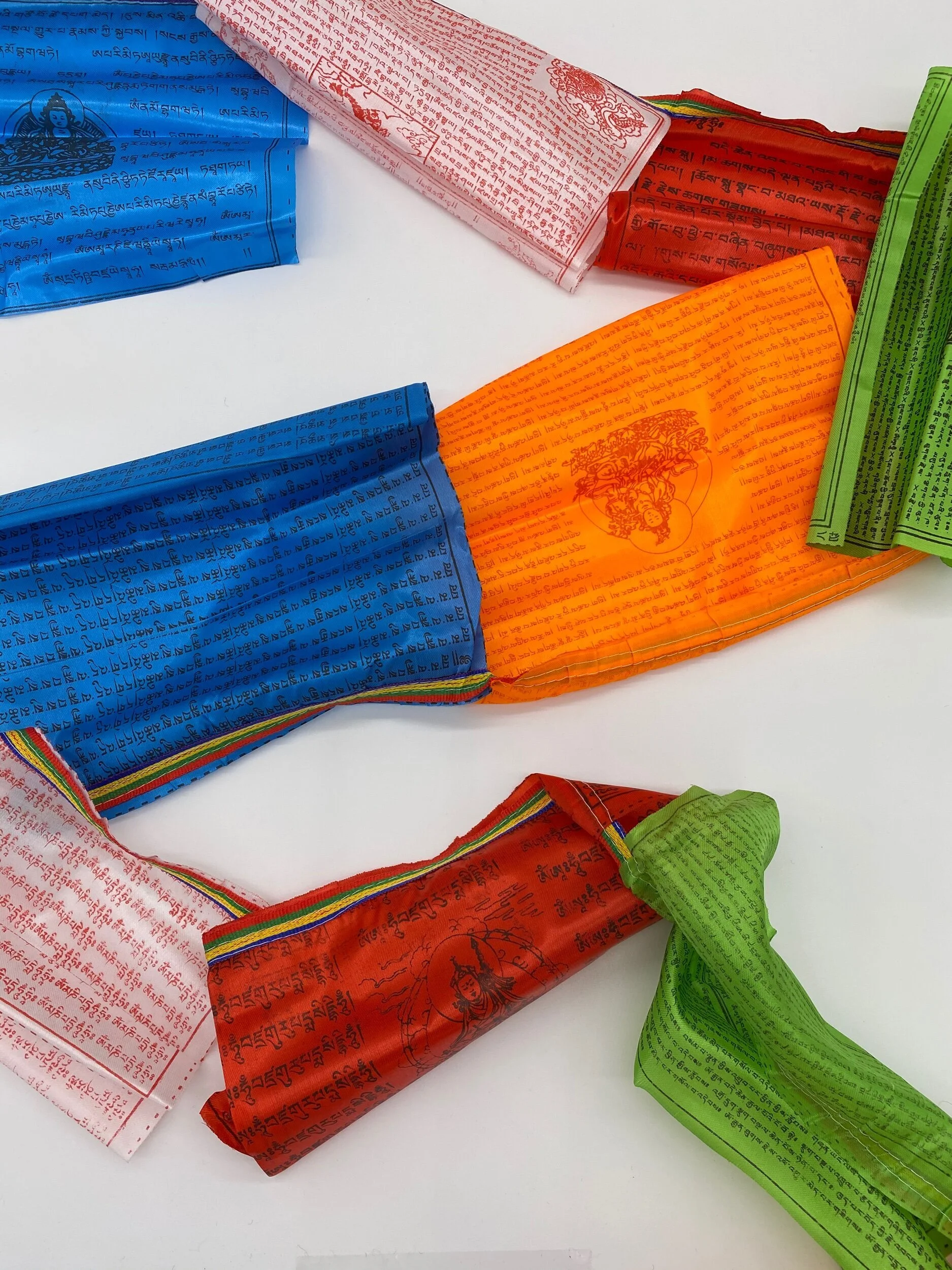 1834C3E5-B873-40BF-B962-C780E4D0273C