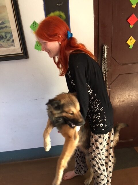 The Office in Sukedhara: Kalu Gets his Flea Medicine!