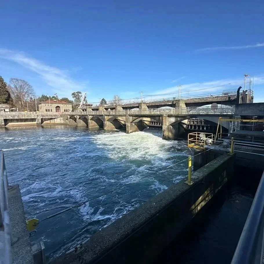 The Ballard Locks
