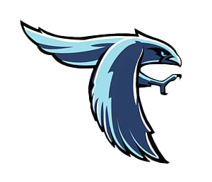 Perry Meridian High School Football Recruiting Booklet