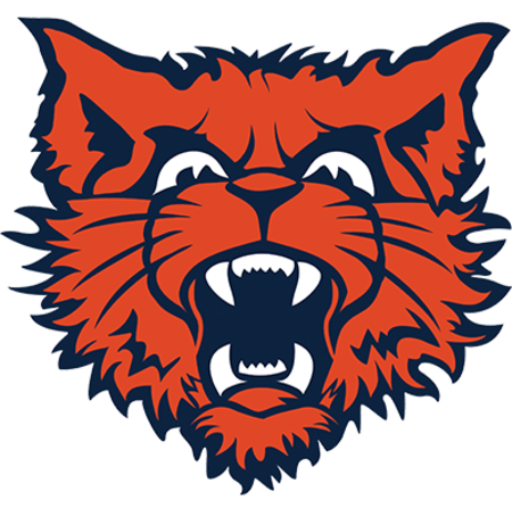 Evanston HS Football (IL) 2026 Media Guide