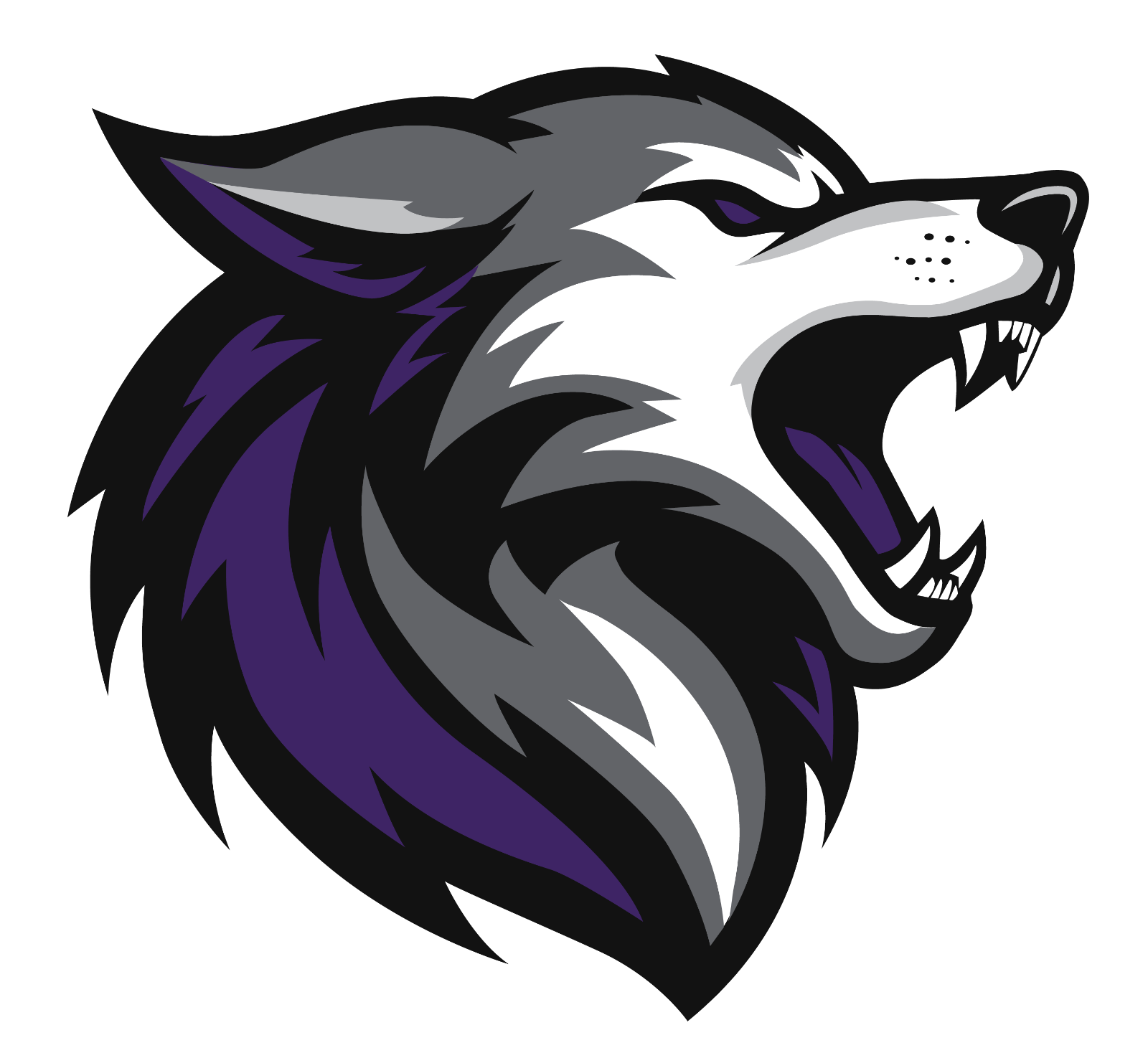 TIMBER CREEK HS FOOTBALL, FL 2026 MEDIA GUIDE