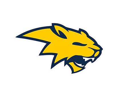 Neuqua Valley HS Baseball (IL) 2026 Story of the Season