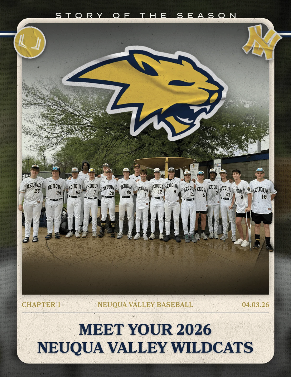NEUQUA VALLEY HS BASEBALL CHAPTER 1