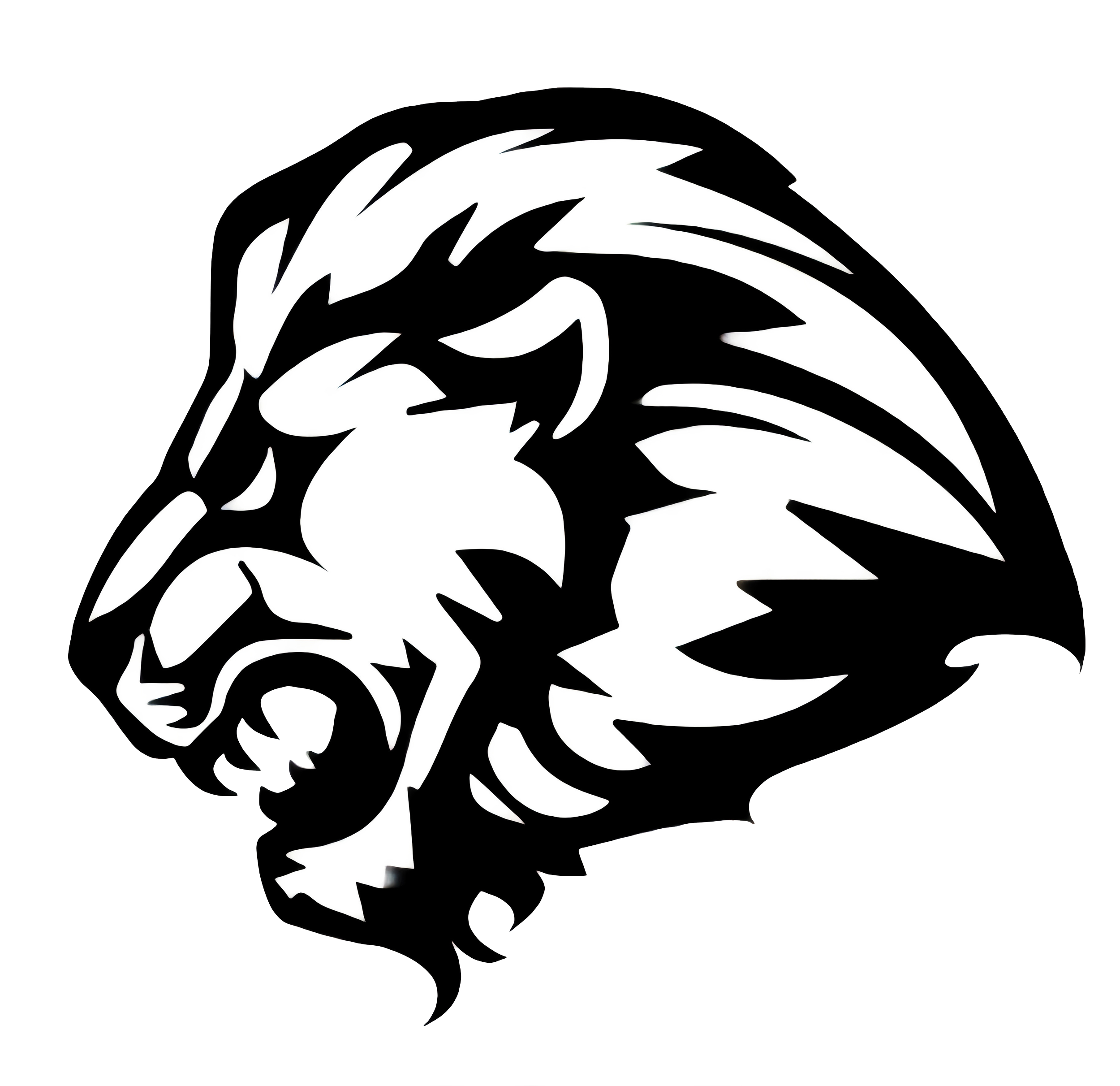 WOODBURY FOOTBALL MEDIA GUIDE