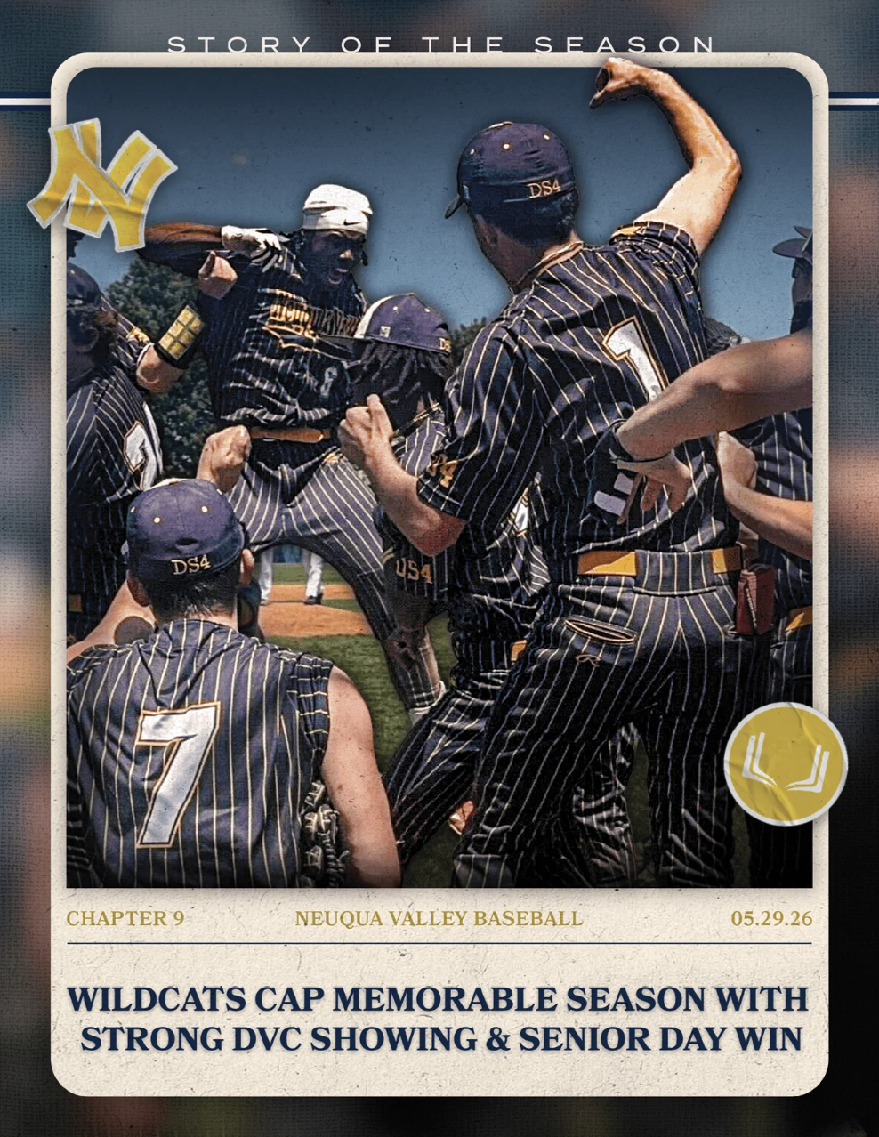 NEUQUA VALLEY HS BASEBALL CHAPTER 9