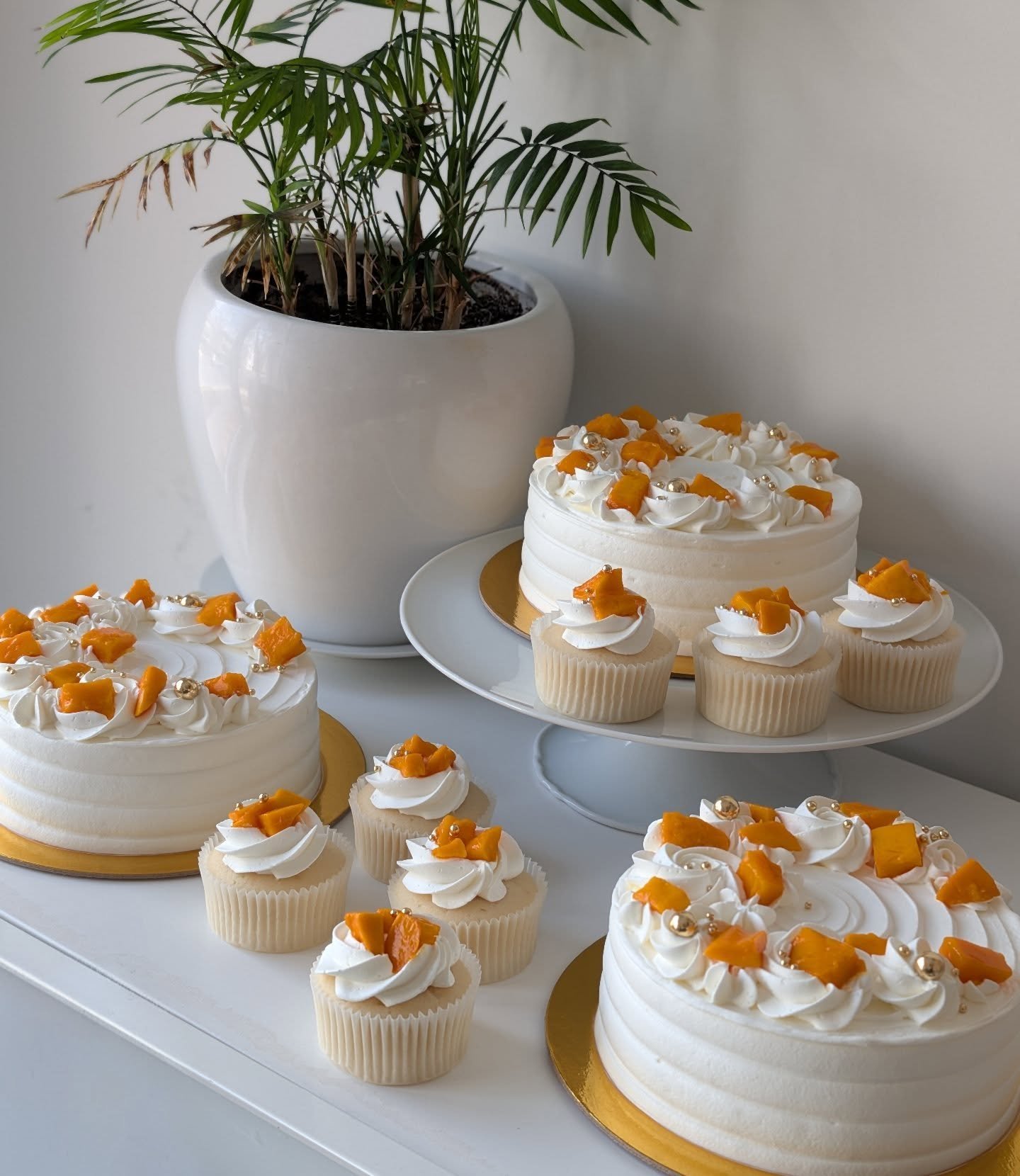 🥭🧡I really can't be more thankful for the support and interest I received for the Indian alphonso mango cakes this year. I was so scared to do a seasonal offering for the first time and it couldn't have been better received. I look forward to offer