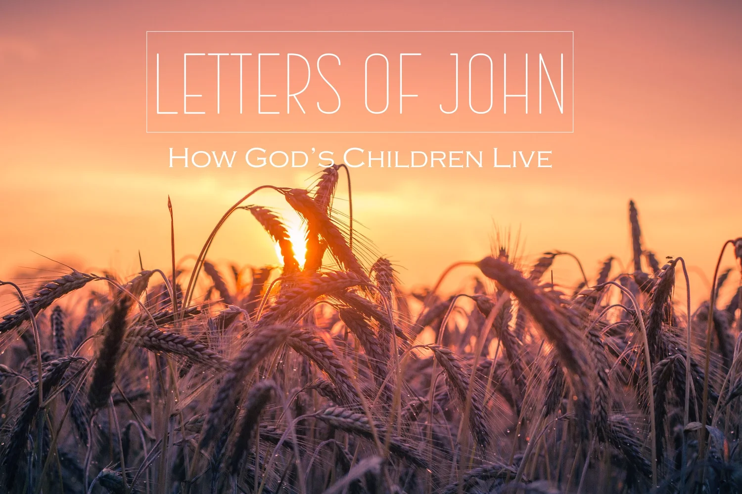 We Have an Advocate (1 John 2:1-2)