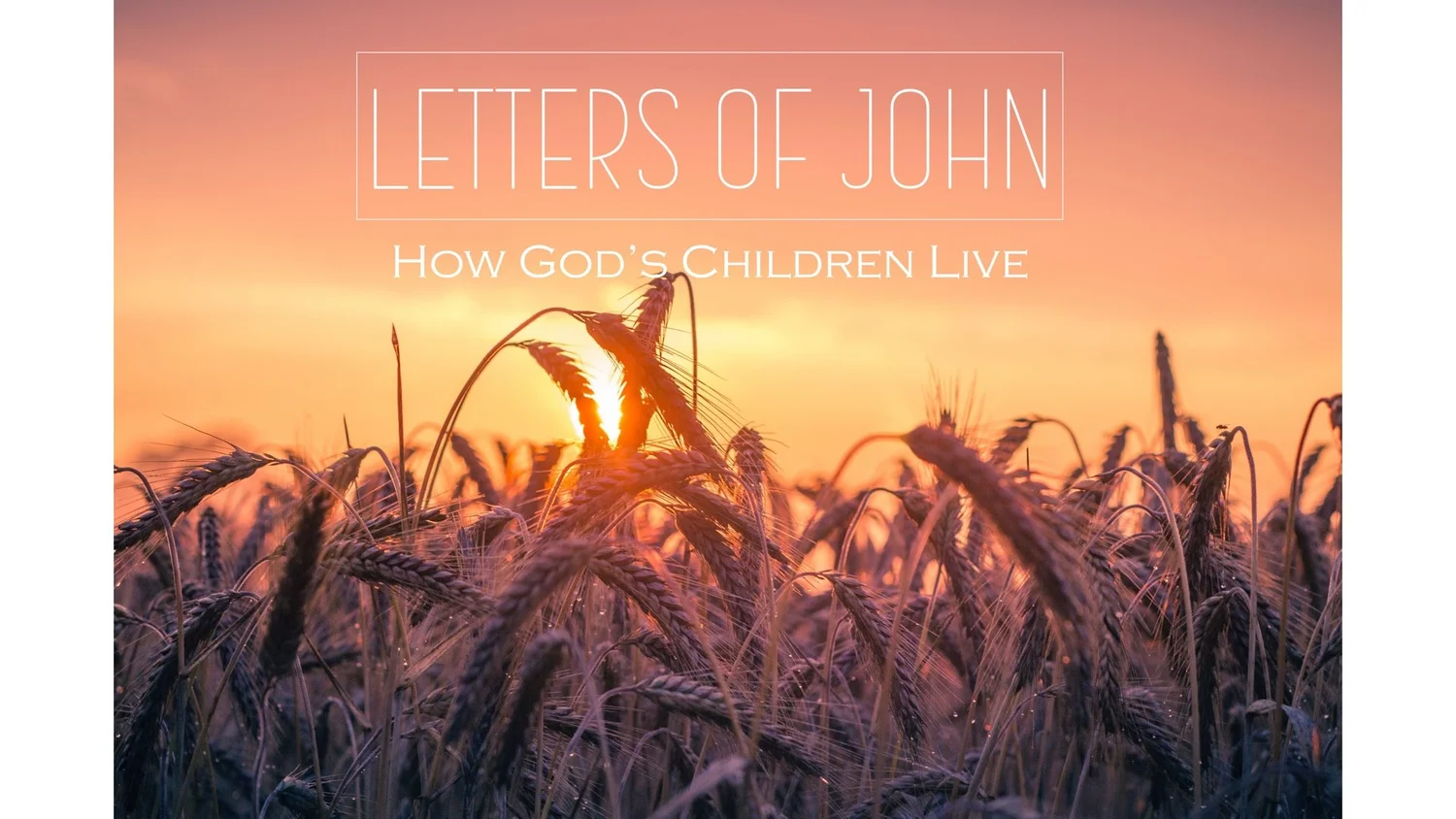 Abide for His Return (1 John 2:28 - 3:3)
