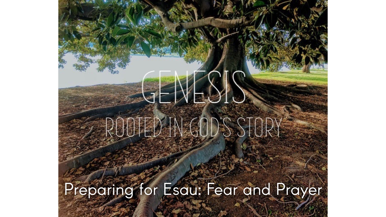 Preparing for Esau: Fear and Prayer (Gen 32:1-21) episode artwork