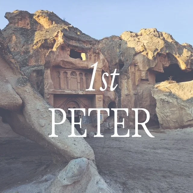 As Chosen Exiles, Stand Firm in the Grace of God (1 Peter 1:1-2)