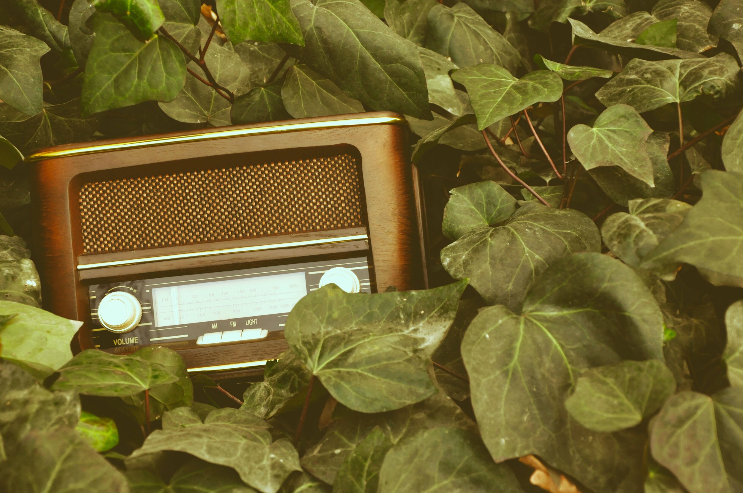 Frequency and Vibration