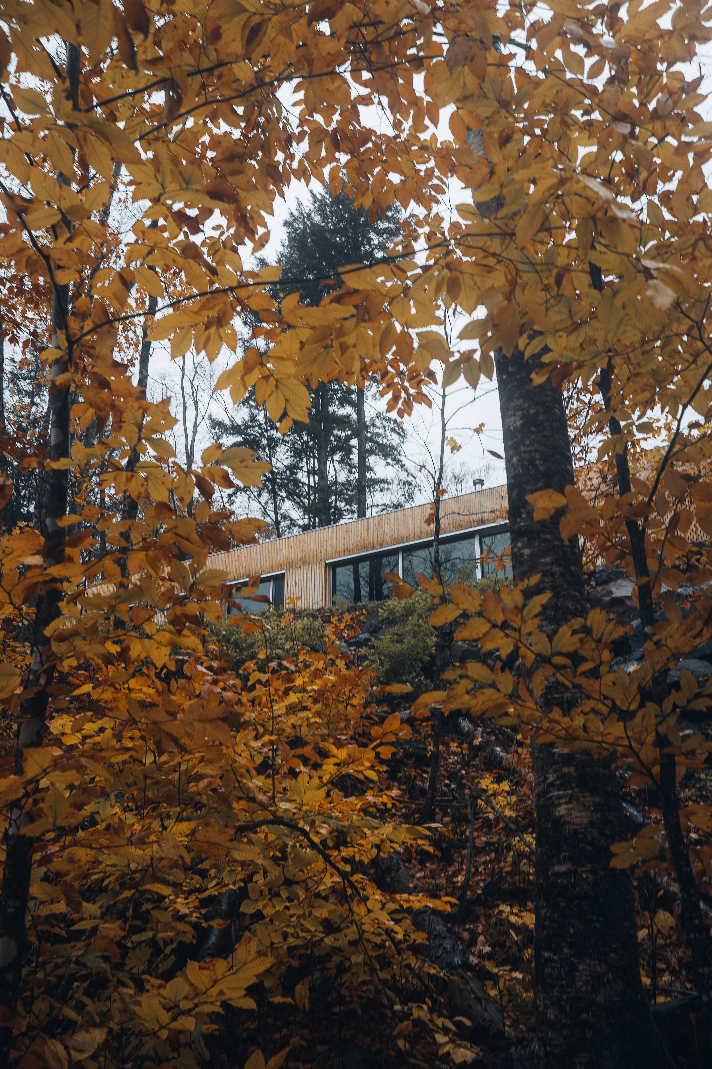 _16A8552.jpg