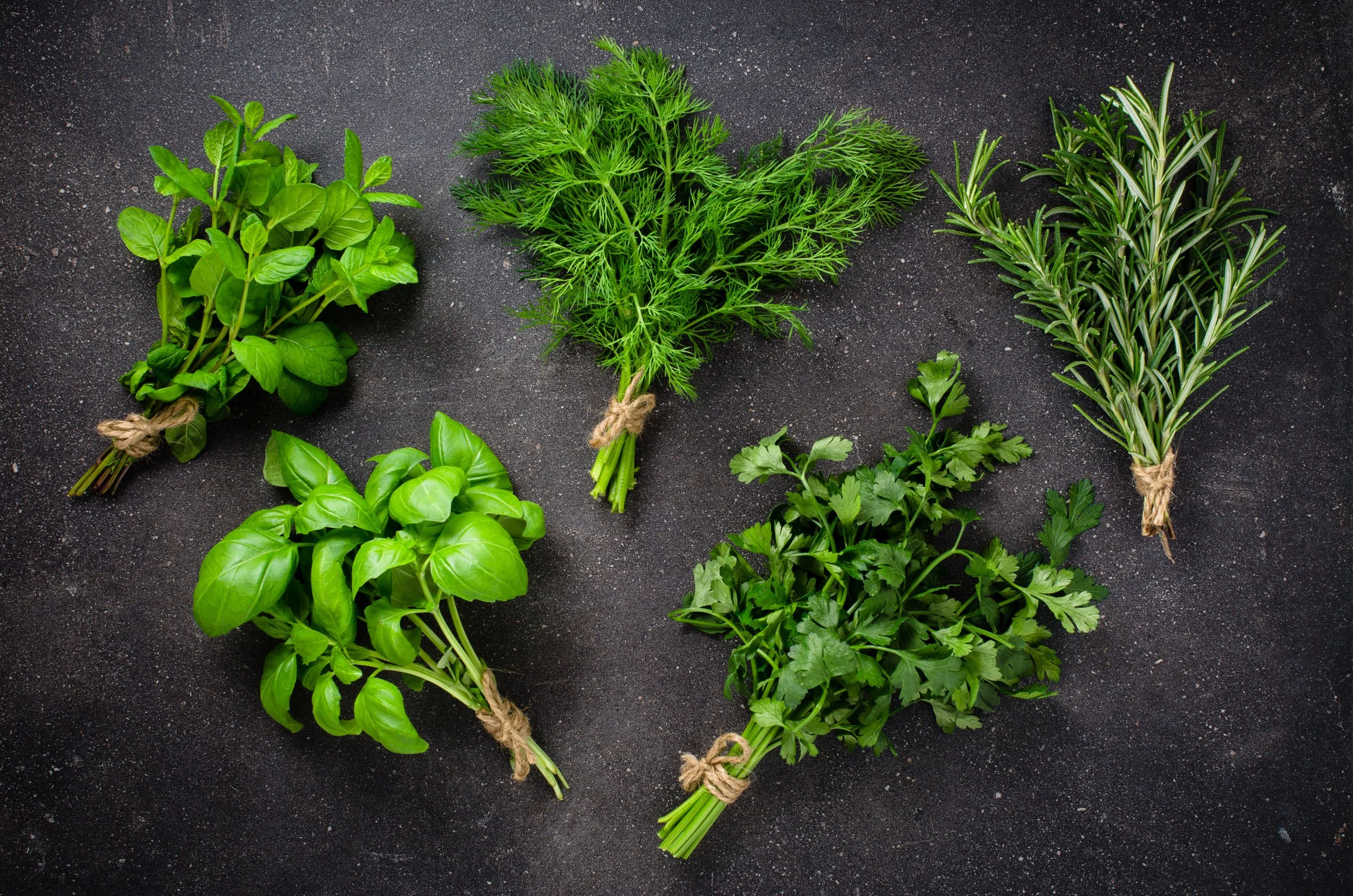 7/11 Saturday 10am-1pm Farmers Market Herbs