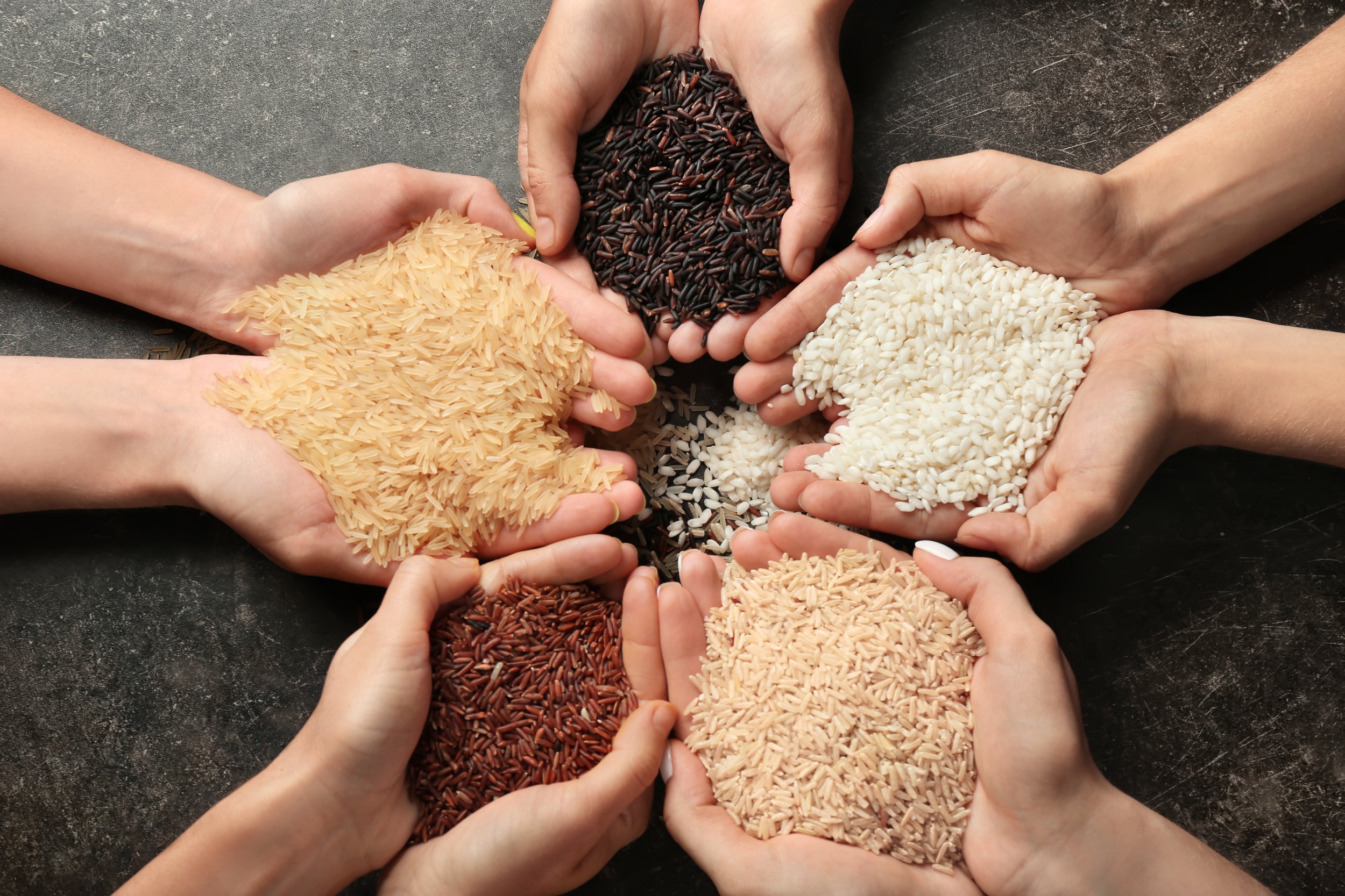 Coming soon...All about rice!