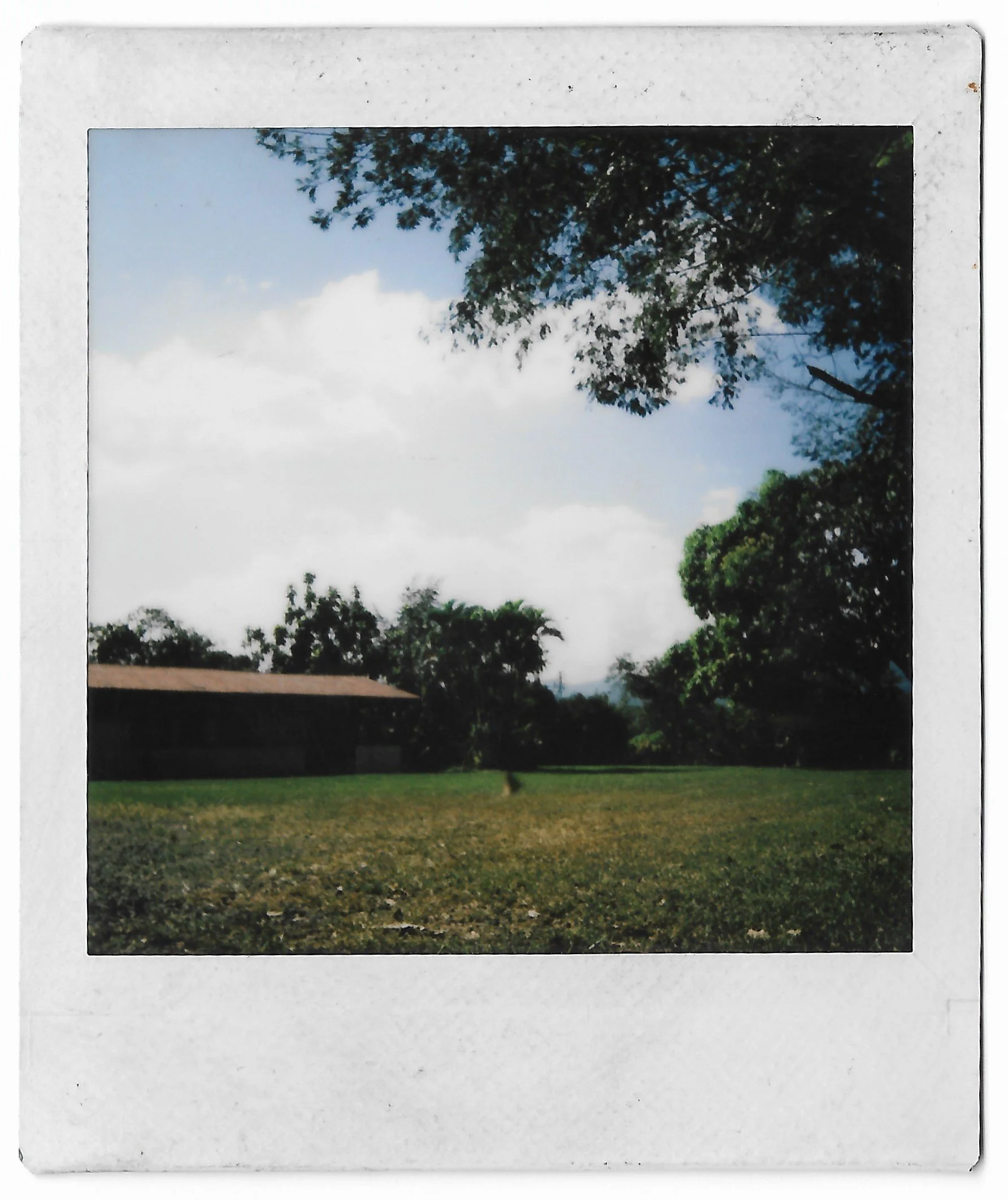 polaroid (4).jpg