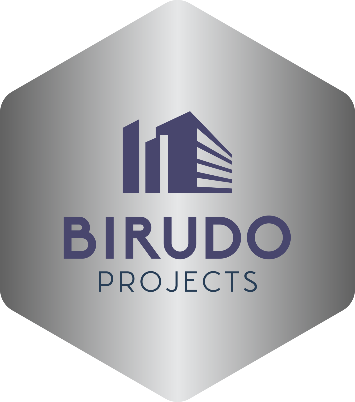 Birudo Projects