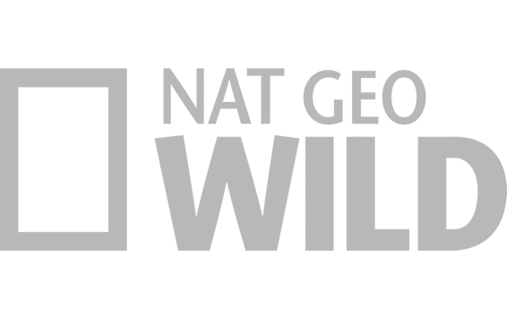 NatGeoWild.png