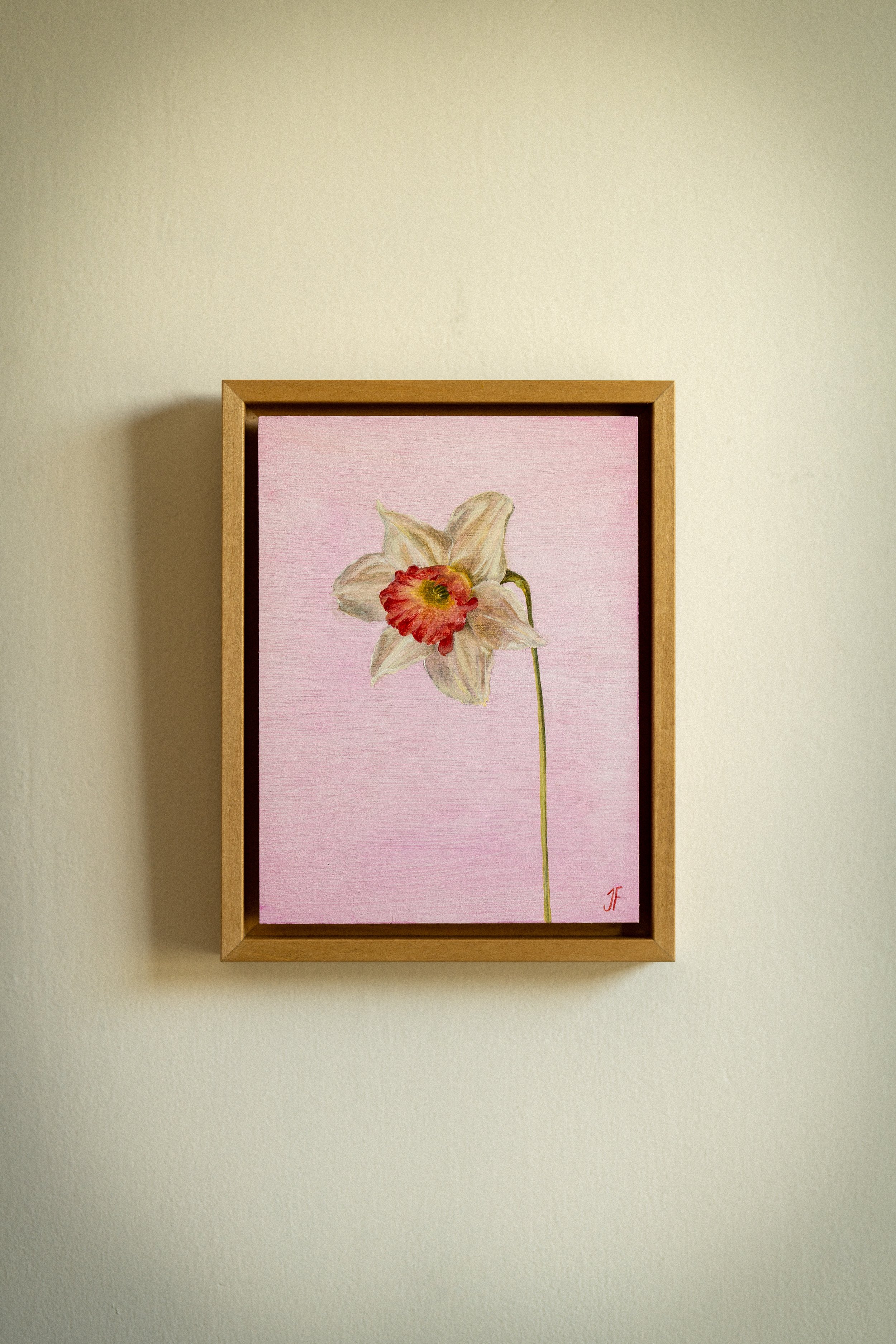 Daffodil, Oil on board, 6 x 8 inches, 2025