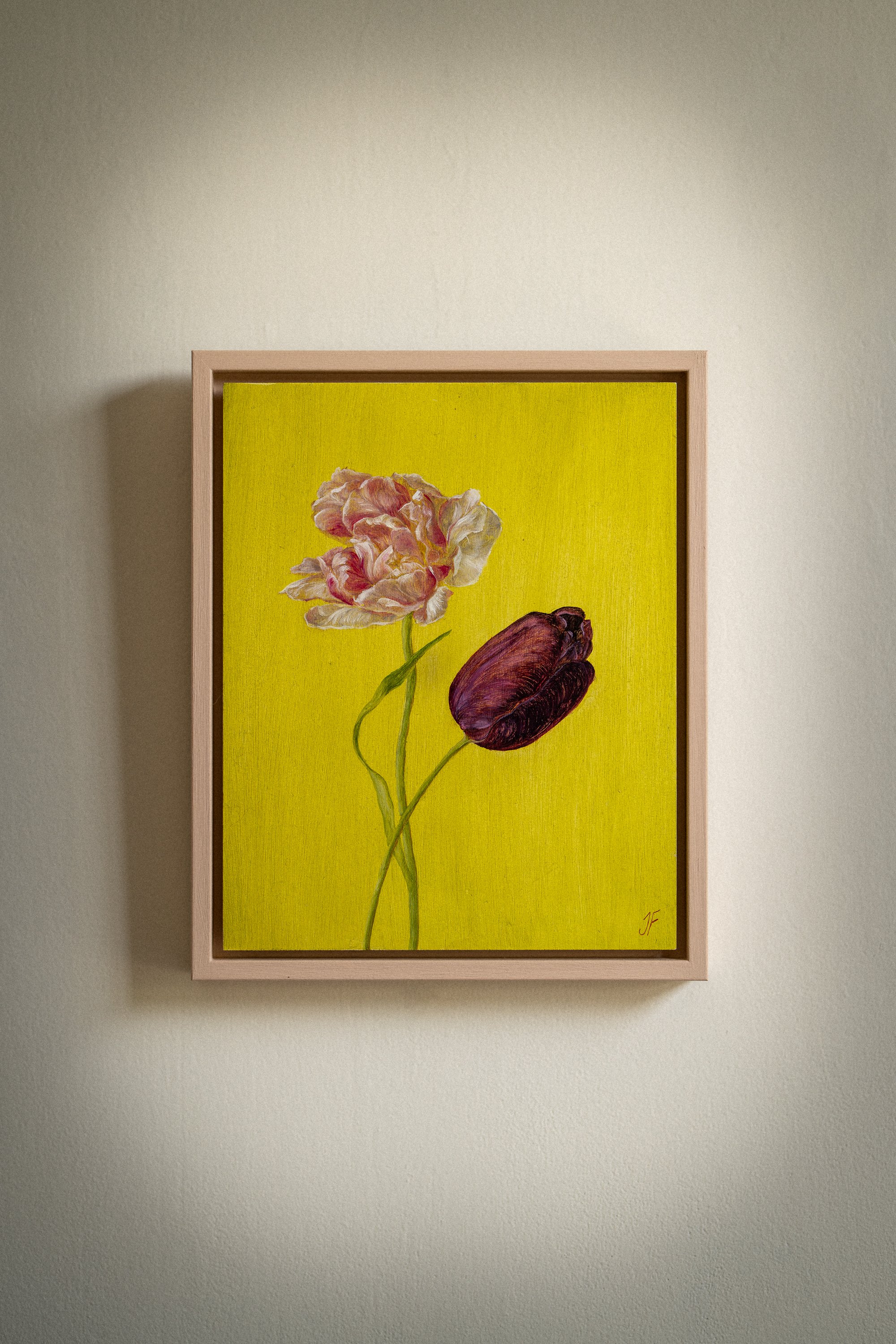 Two Tulips