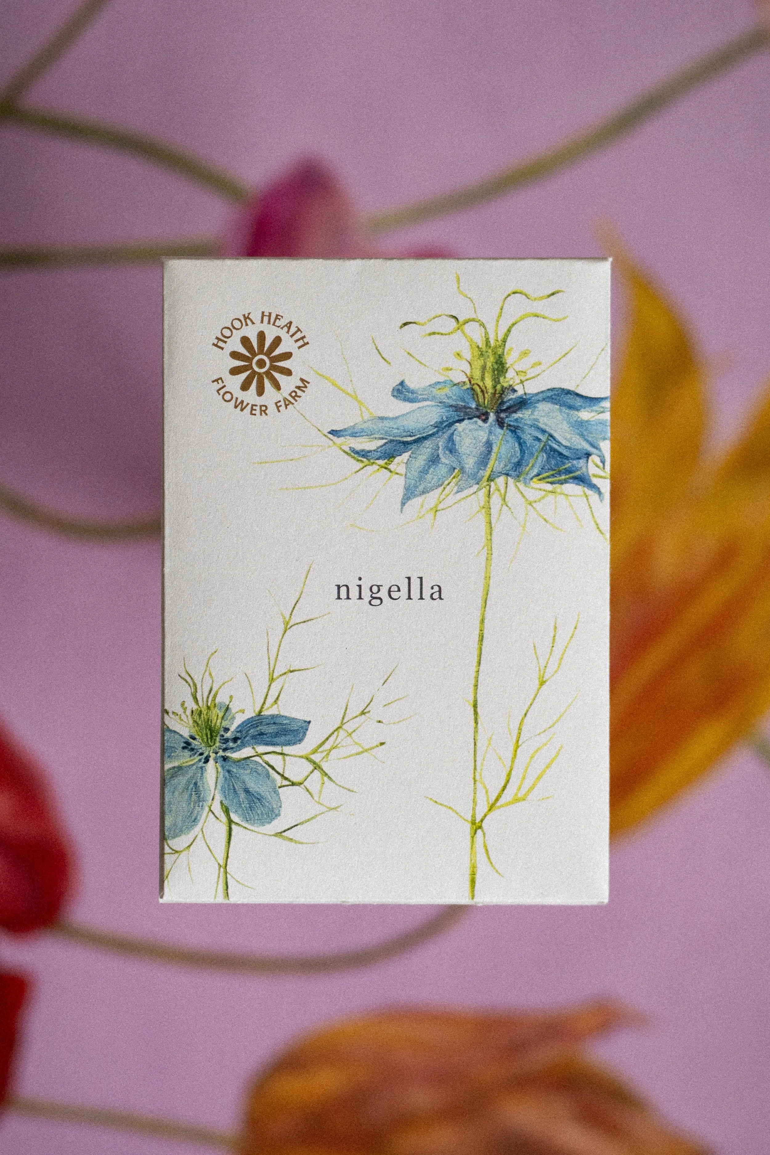 Nigella Front.jpg