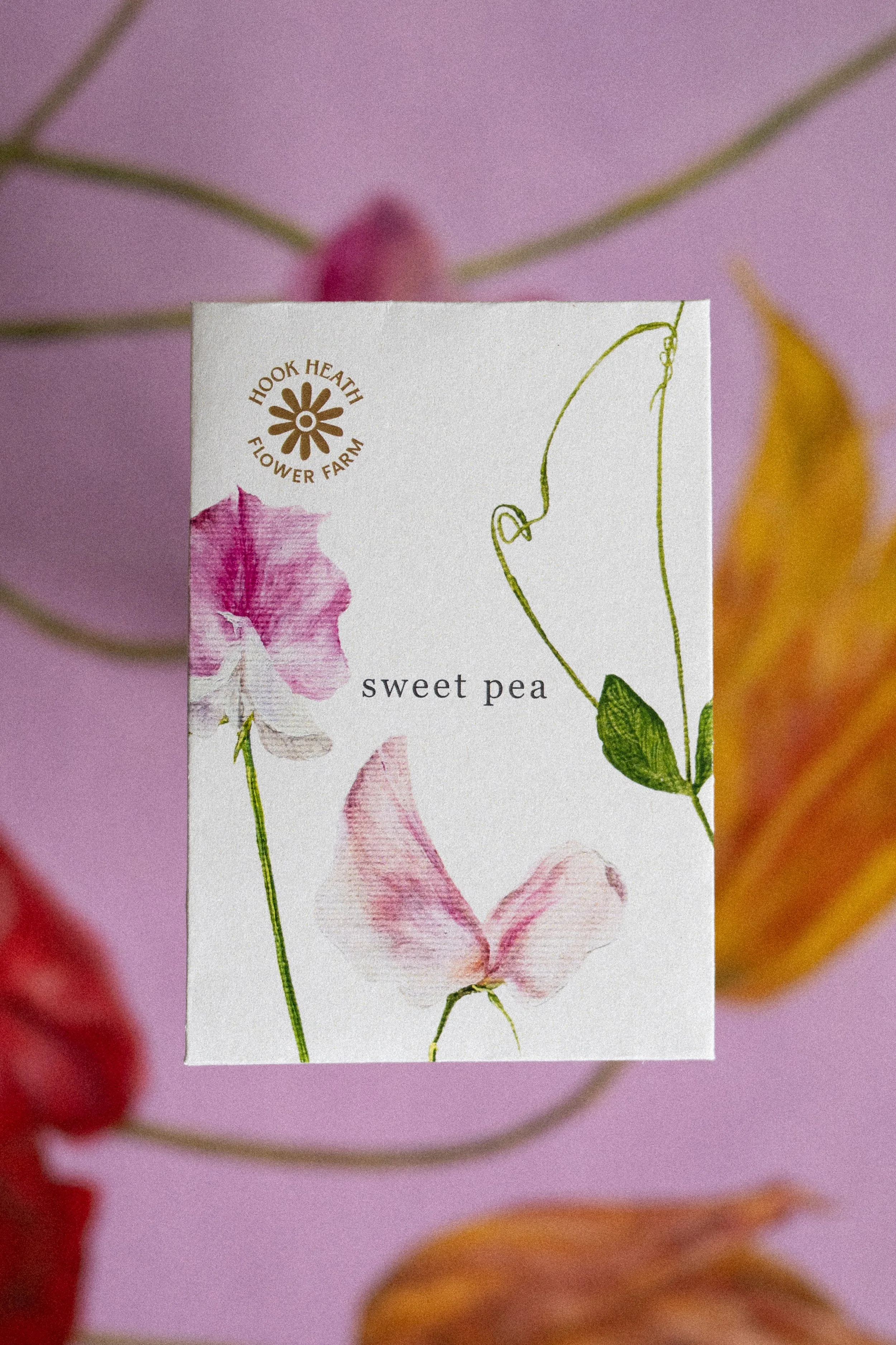 Sweet Pea Front.jpg