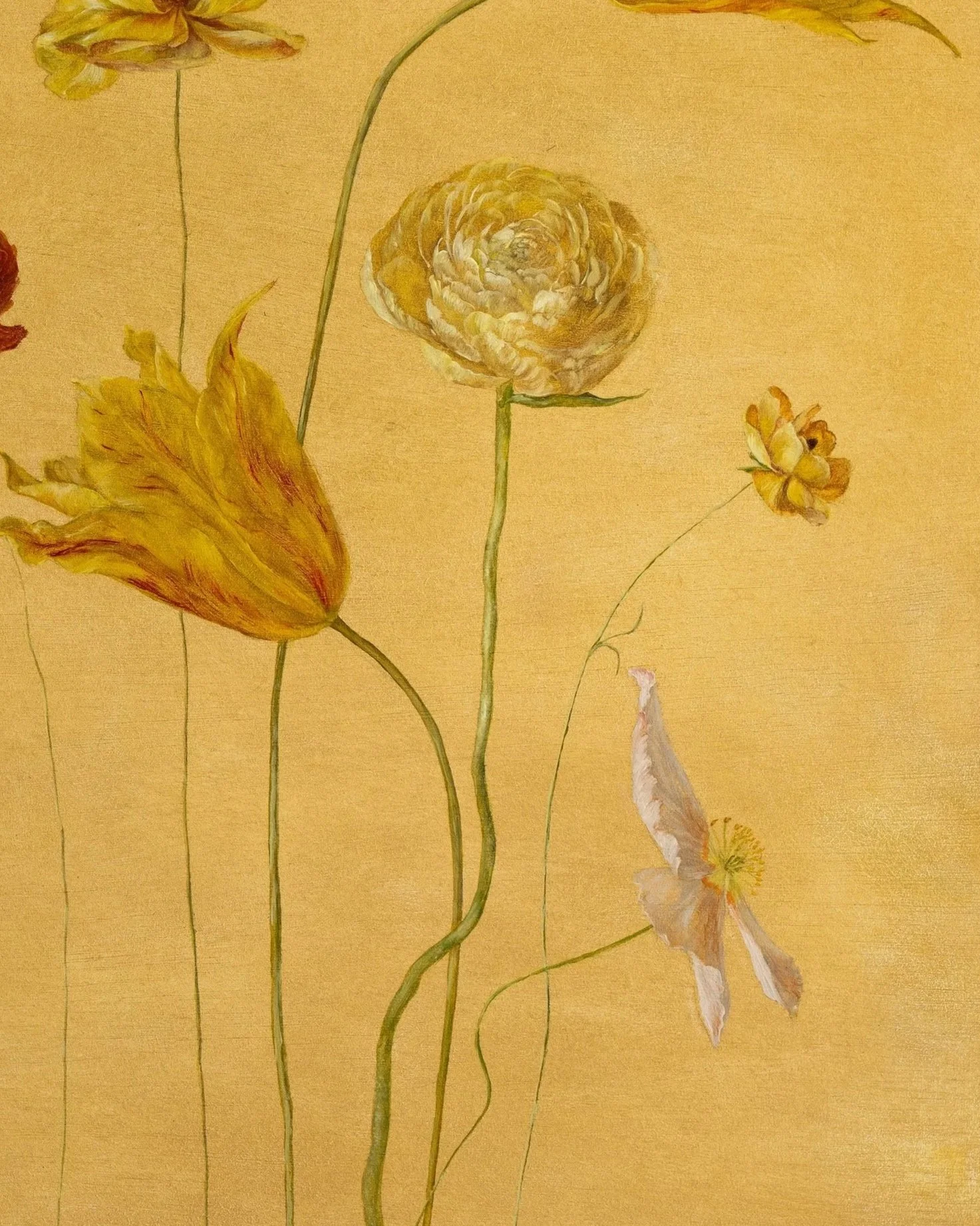 Spring+light+copy.jpg