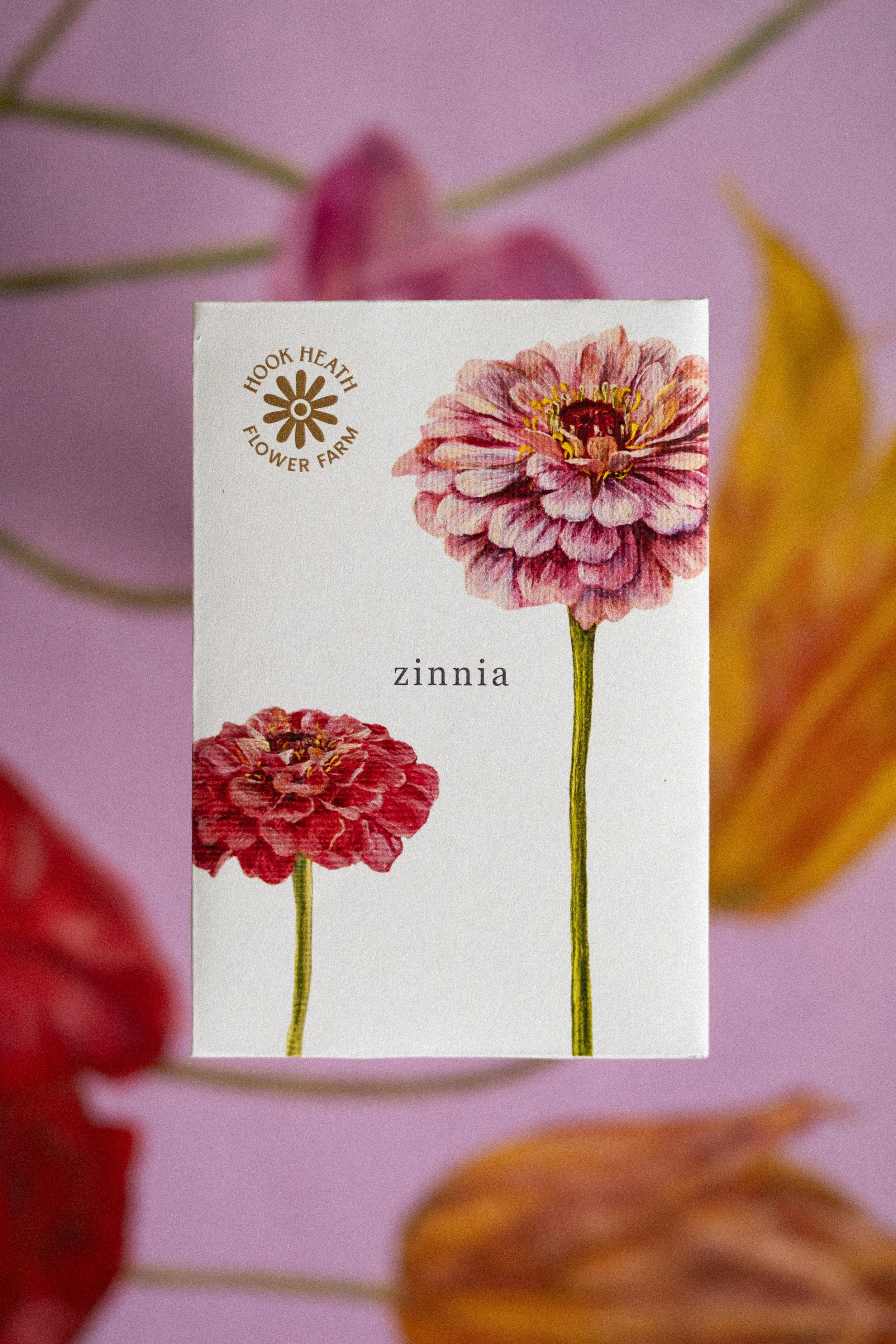 Zinnia Front.jpg