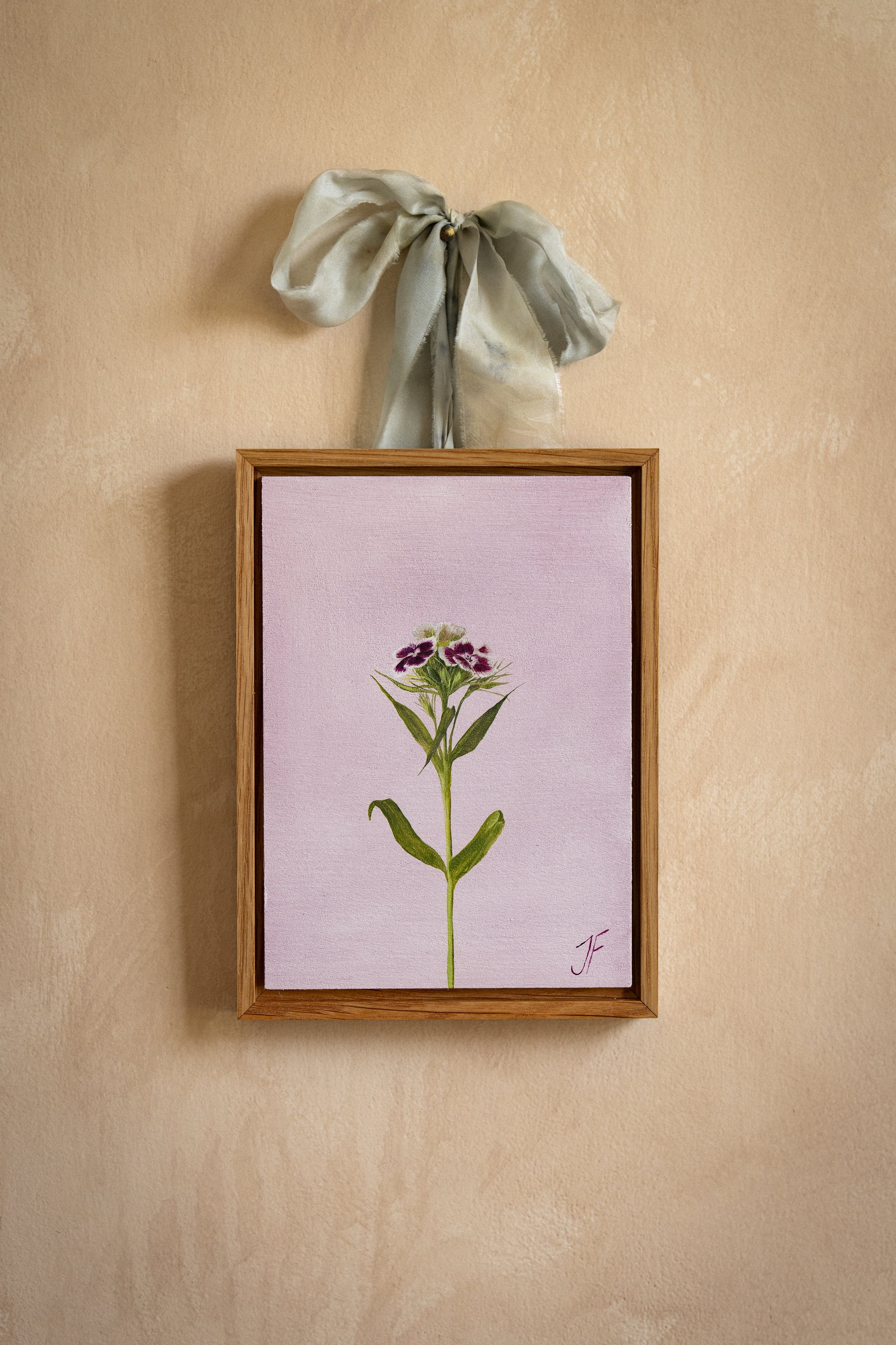 Sweet William