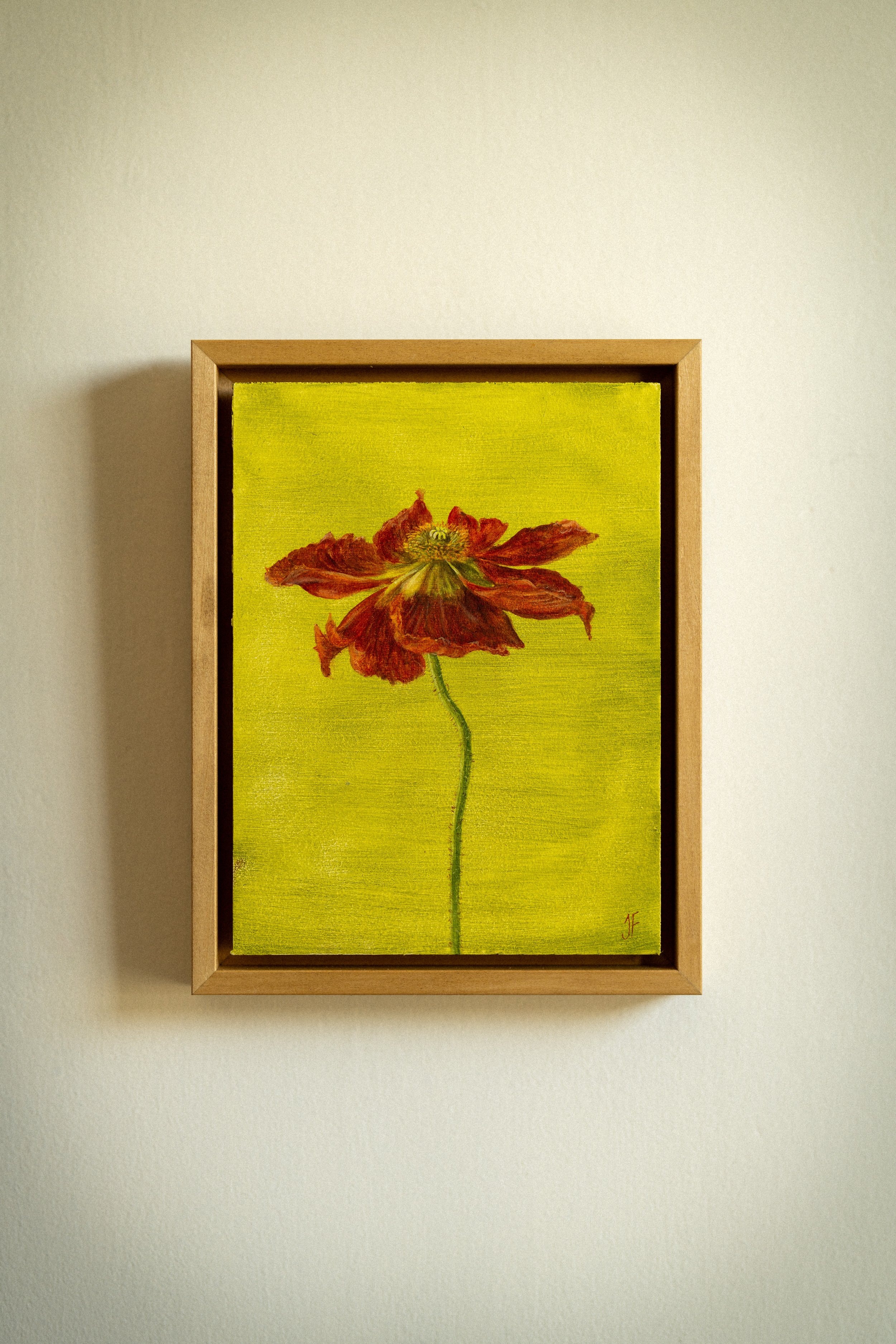 Icelandic Poppy, Oil on board, 6 x 8 inches, 2025