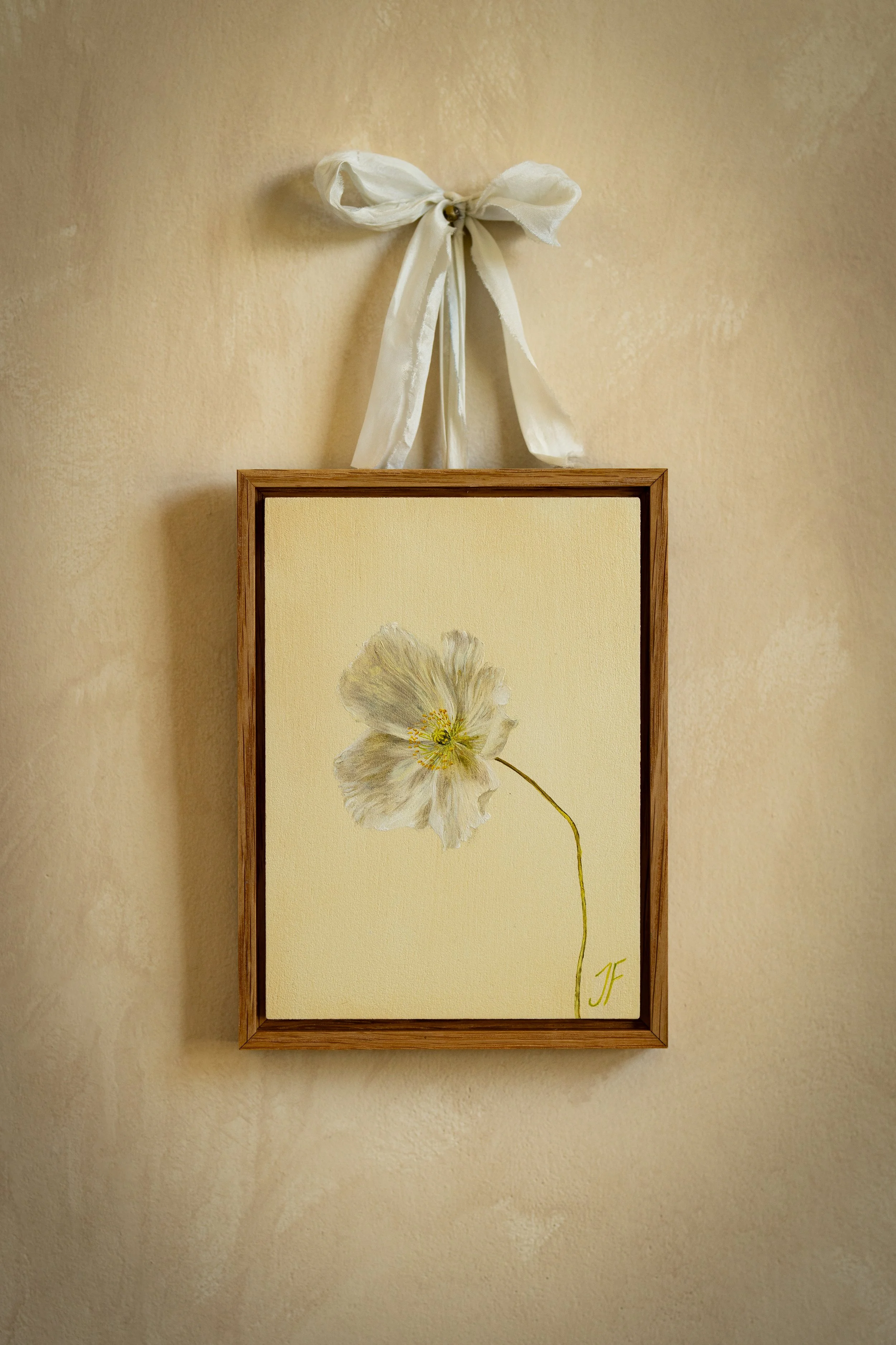 Icelandic Poppy