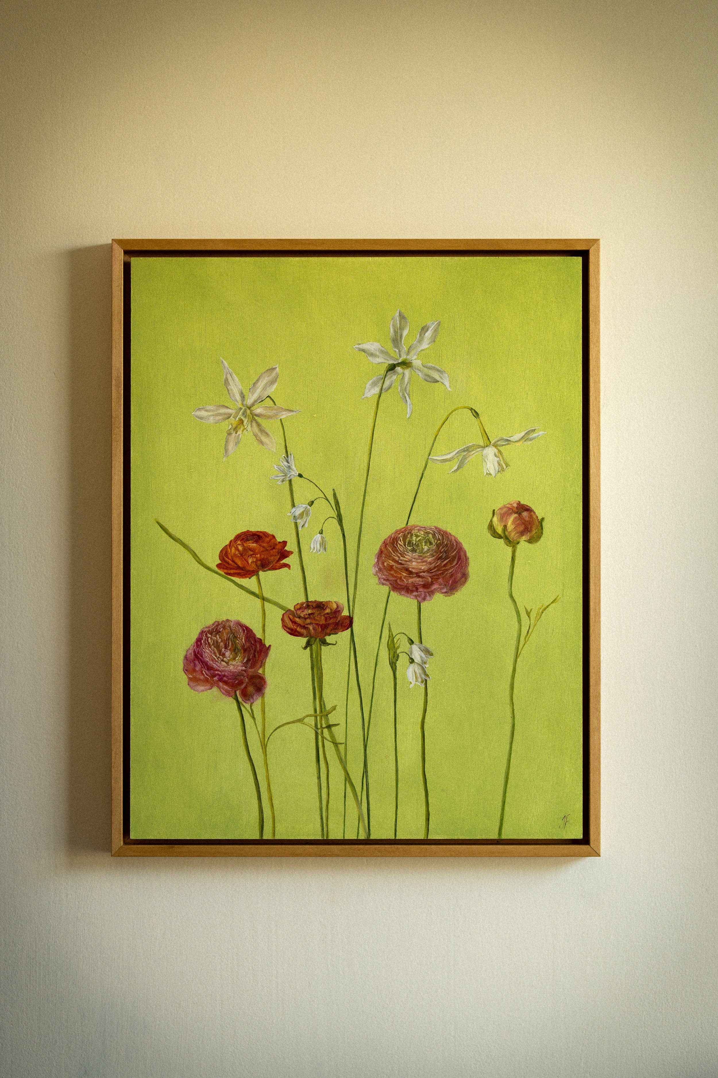Persian Buttercups