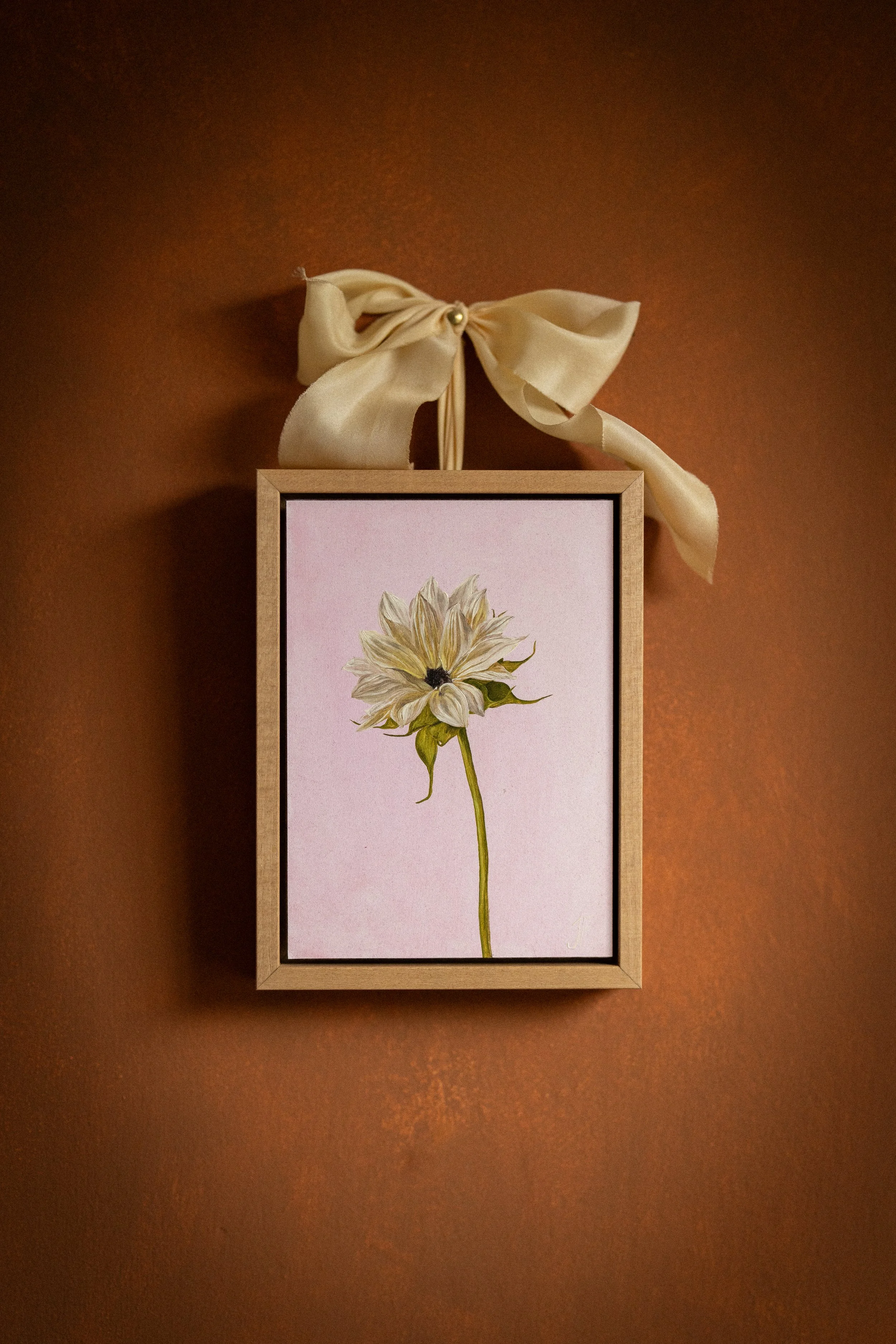 JF November 2025-2.jpeg