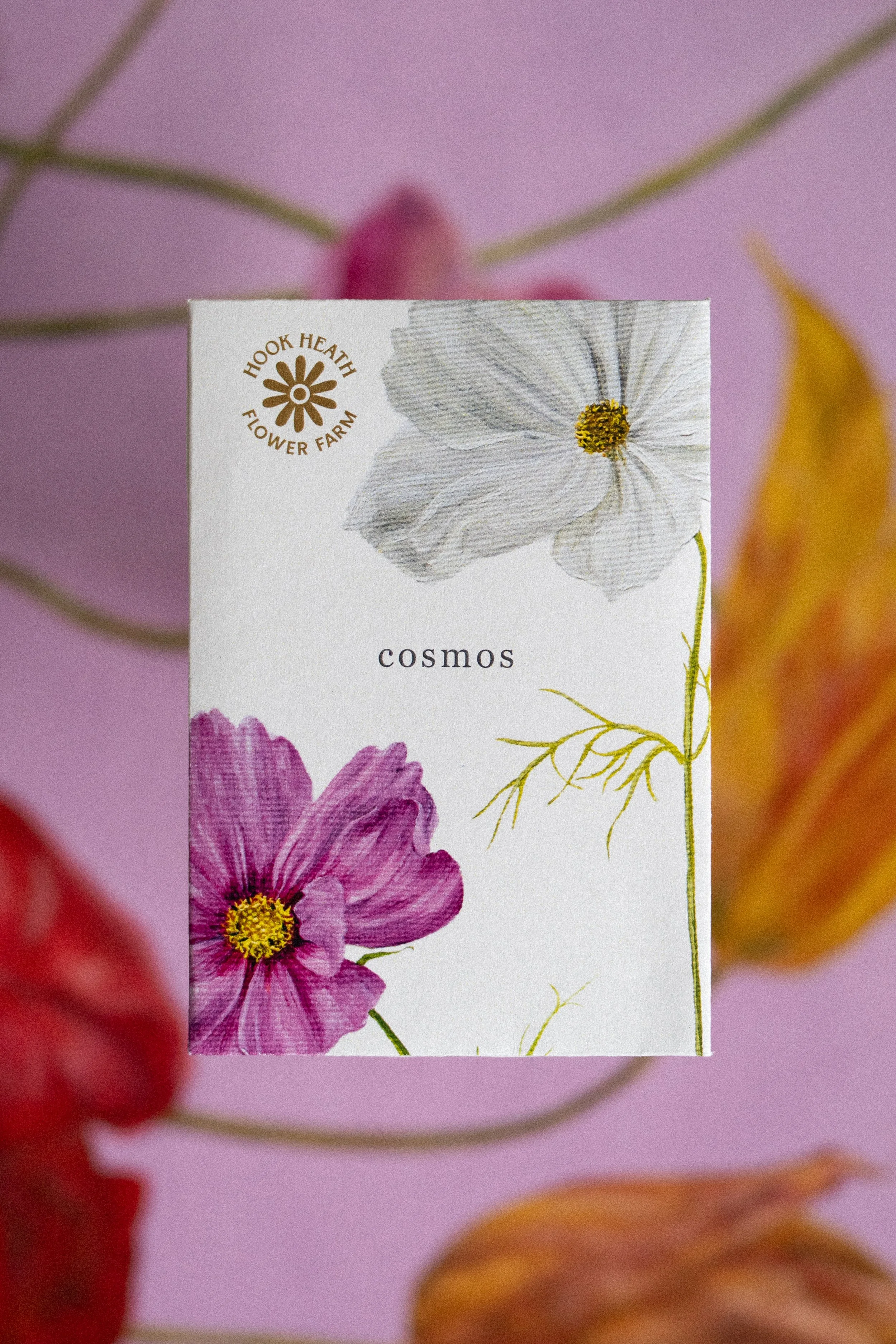 Cosmos Front.jpg