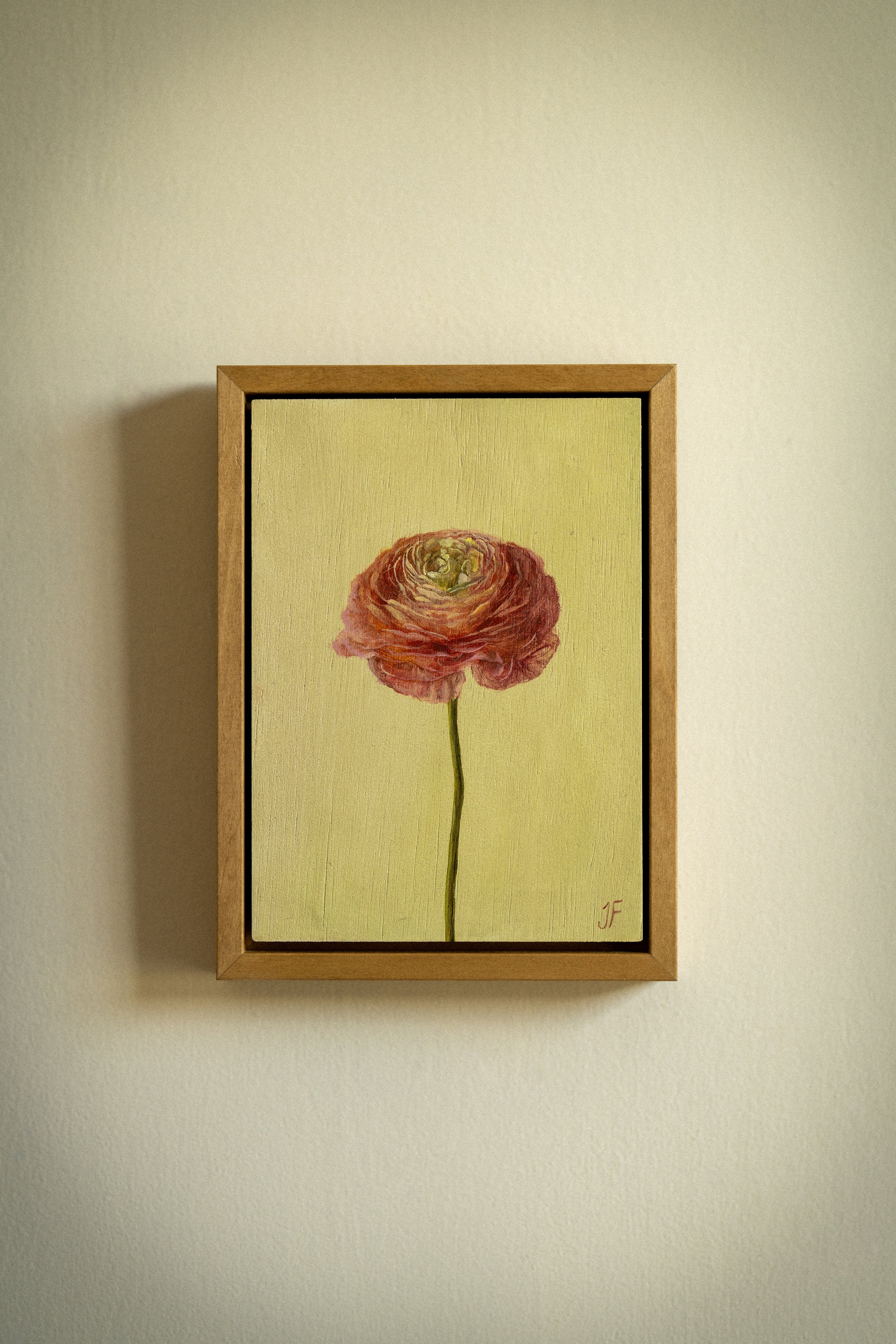 Ranunculus, Oil on board, 5 x 7 inches, 2025