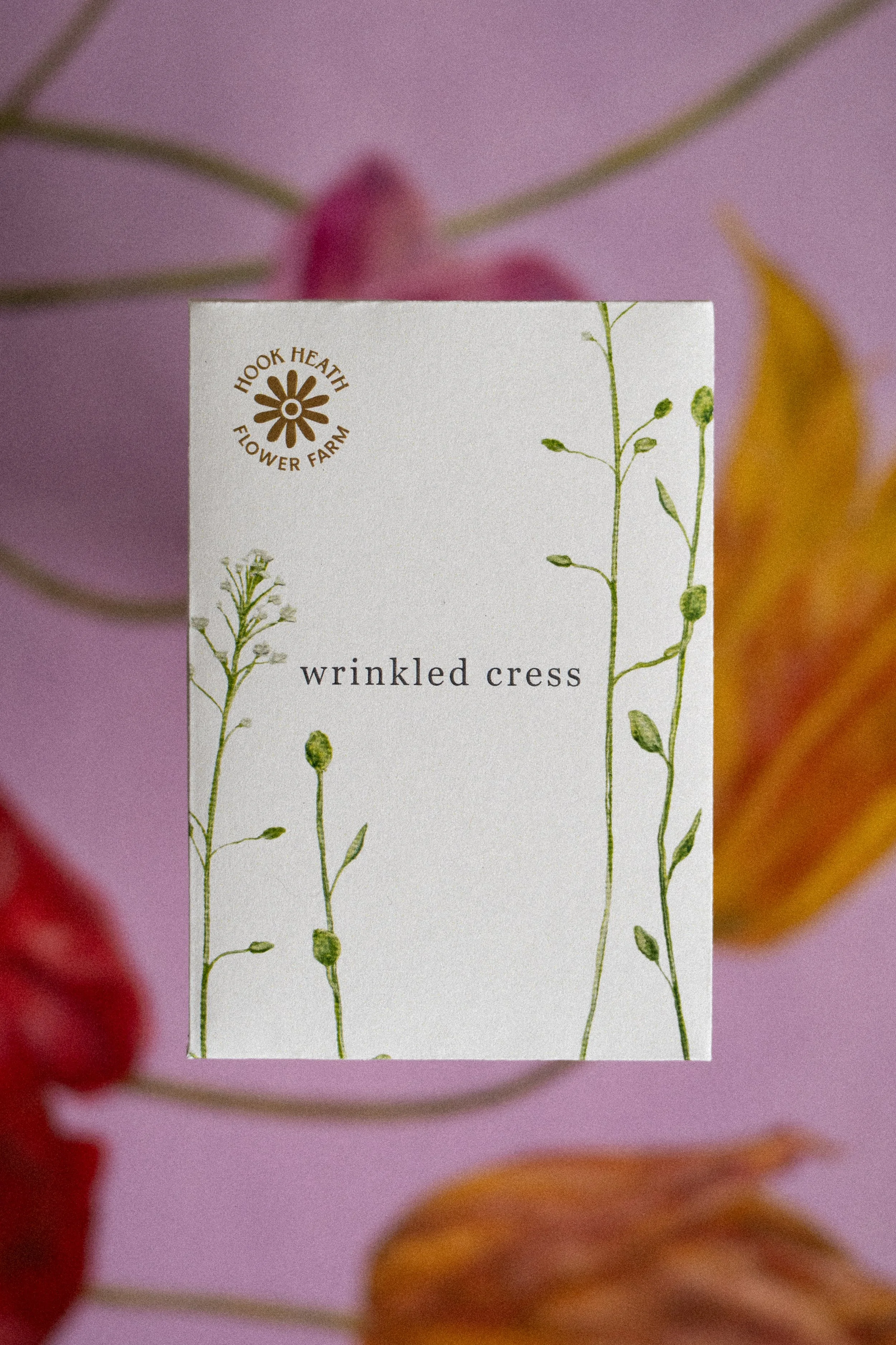 Wrinkled Cress Front.jpg
