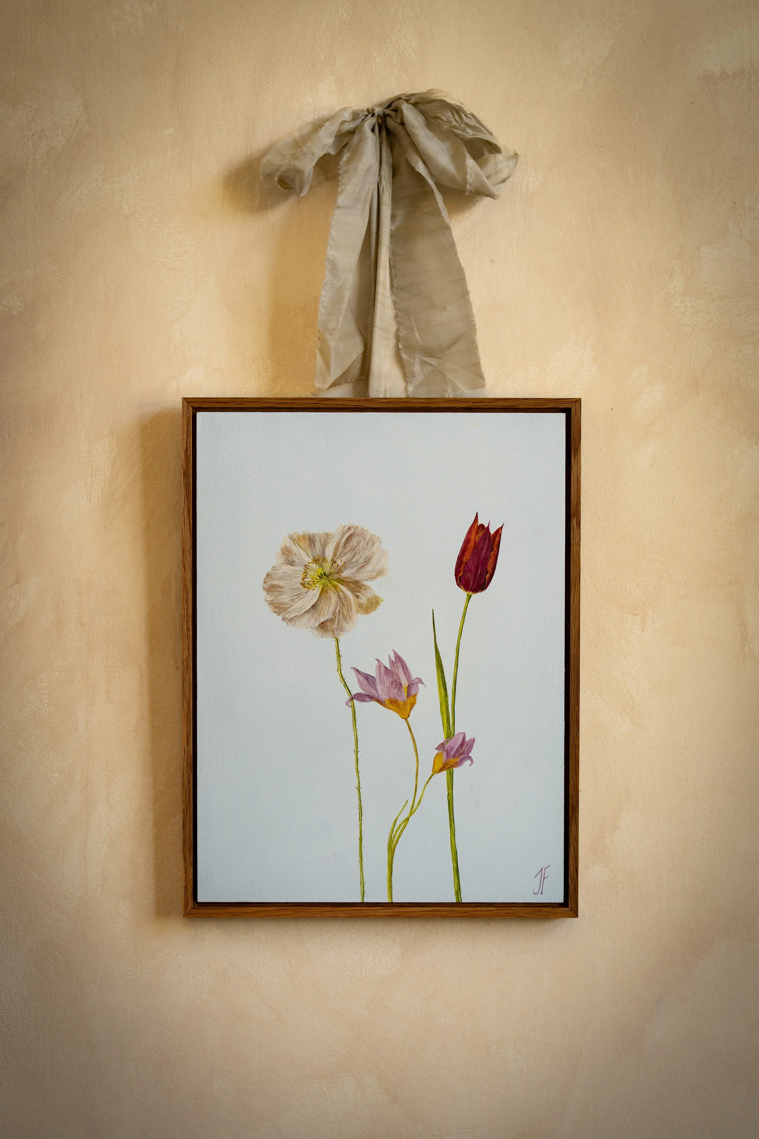 Tulips and Icelandic poppy