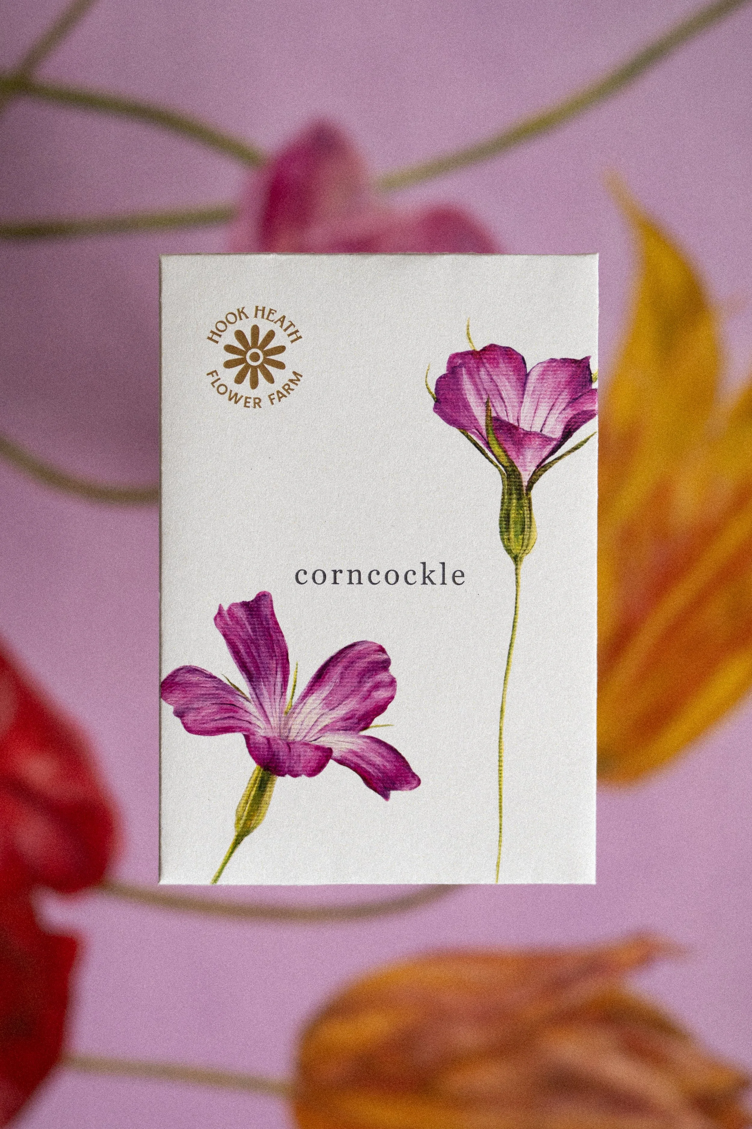 Corncockle Front.jpg
