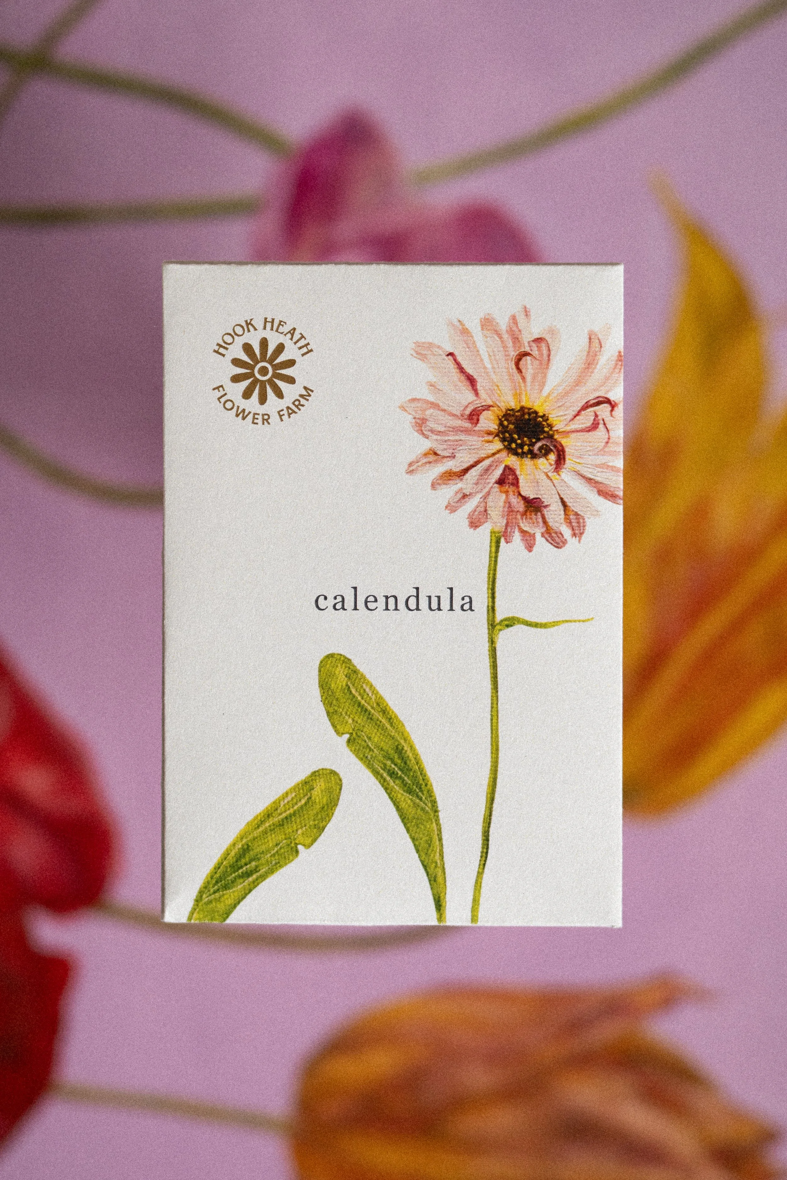 Calendula Front.jpg